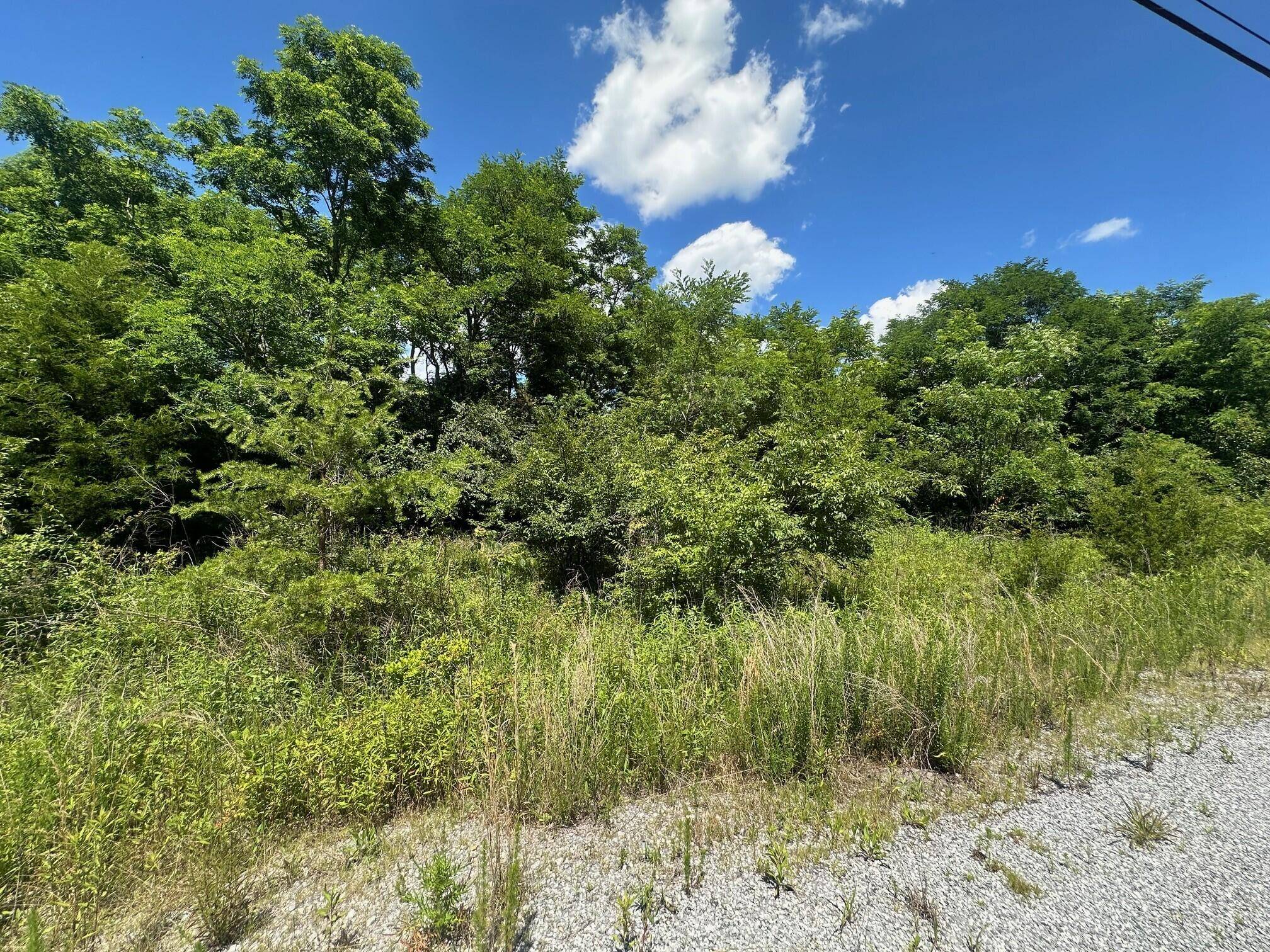 South Pittsburg, TN 37380,Lot 170 Teludachee Trail