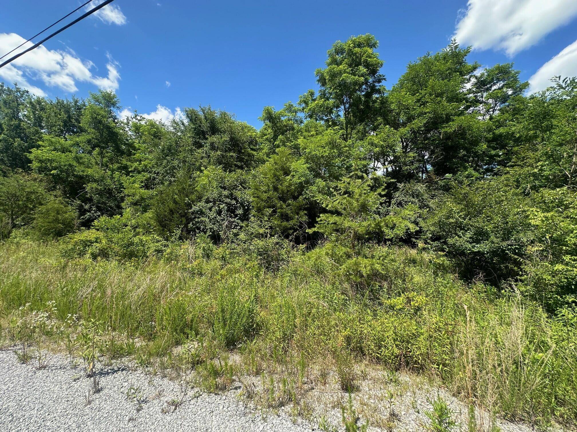 South Pittsburg, TN 37380,Lot 170 Teludachee Trail