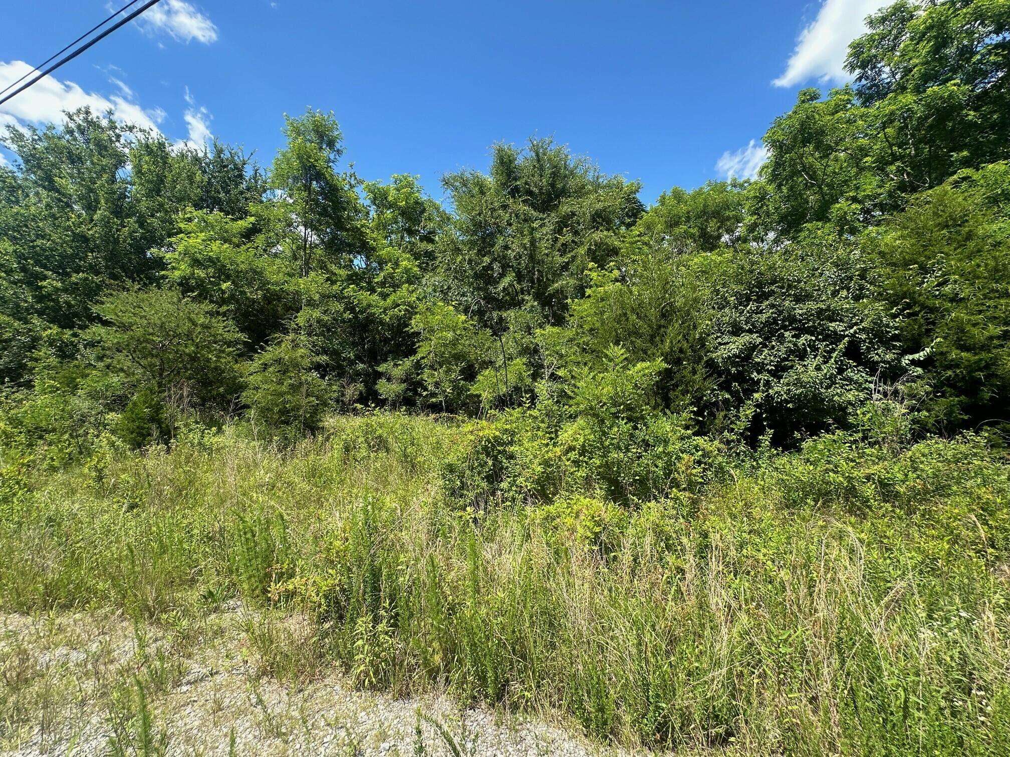 South Pittsburg, TN 37380,Lot 170 Teludachee Trail