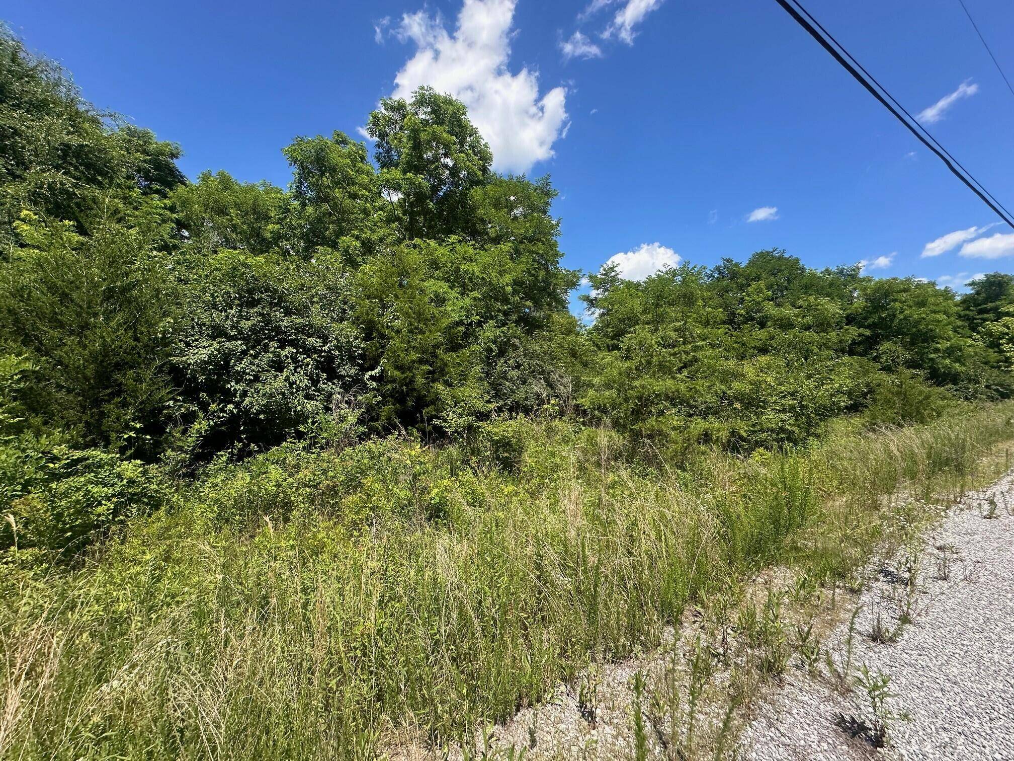 South Pittsburg, TN 37380,Lot 170 Teludachee Trail