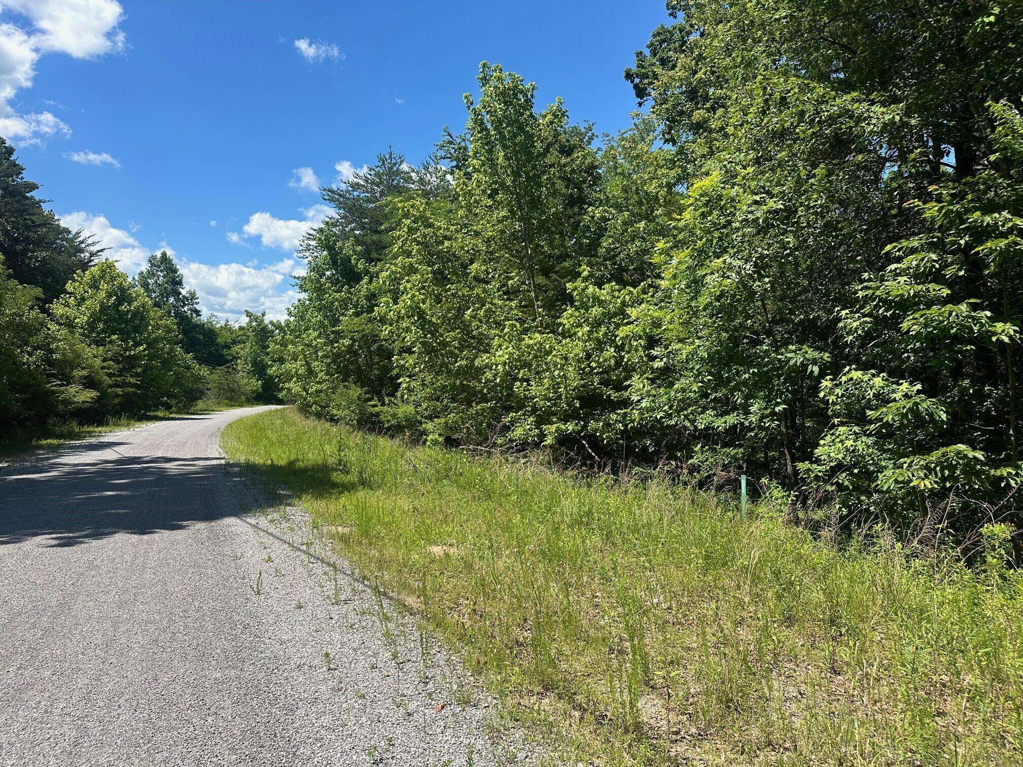 South Pittsburg, TN 37380,Lot 176 Teludachee Trail