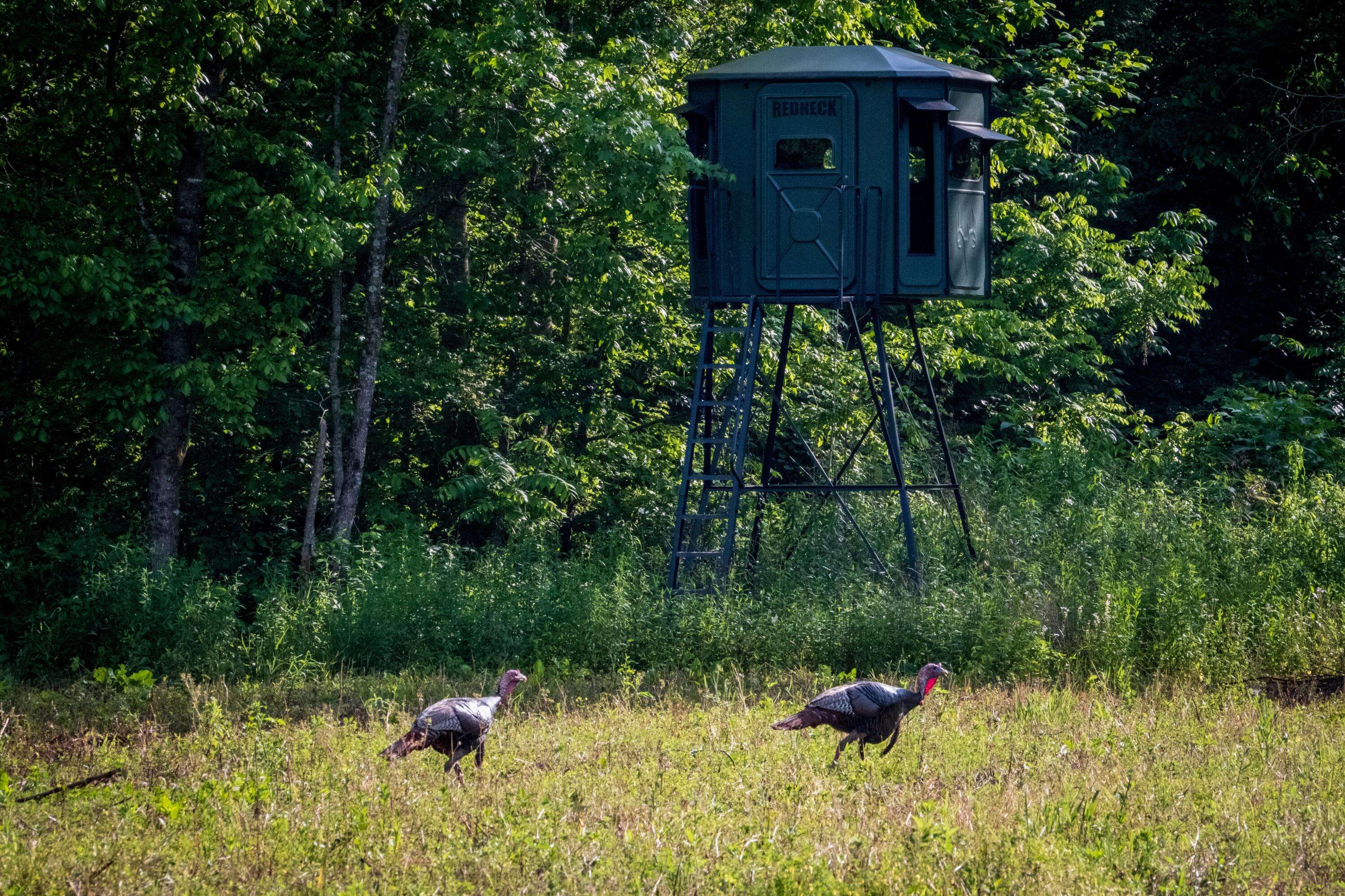 Livingston, TN 38570,Tbd Puncheon Creek LN