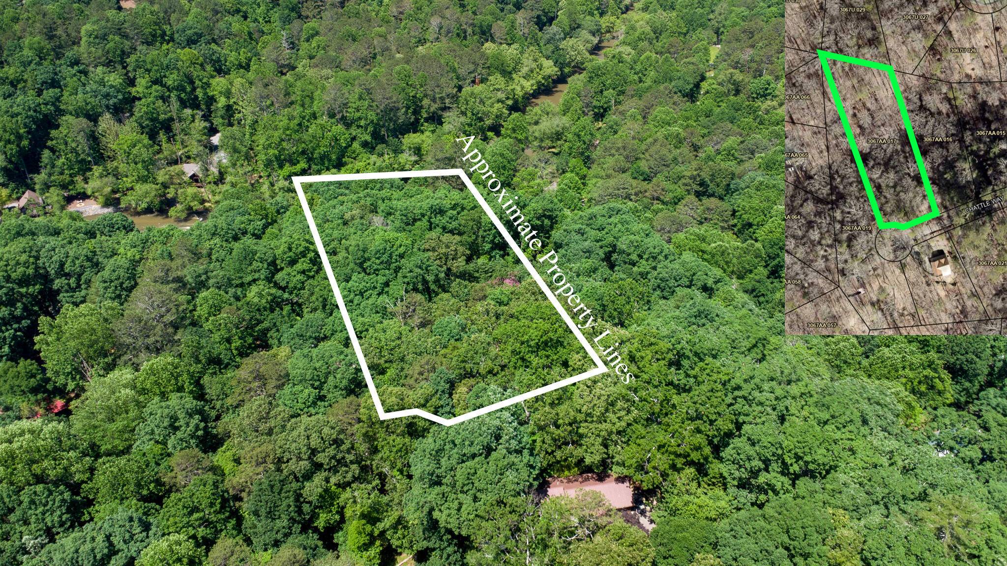 Ellijay, GA 30540,00 Chattle WAY