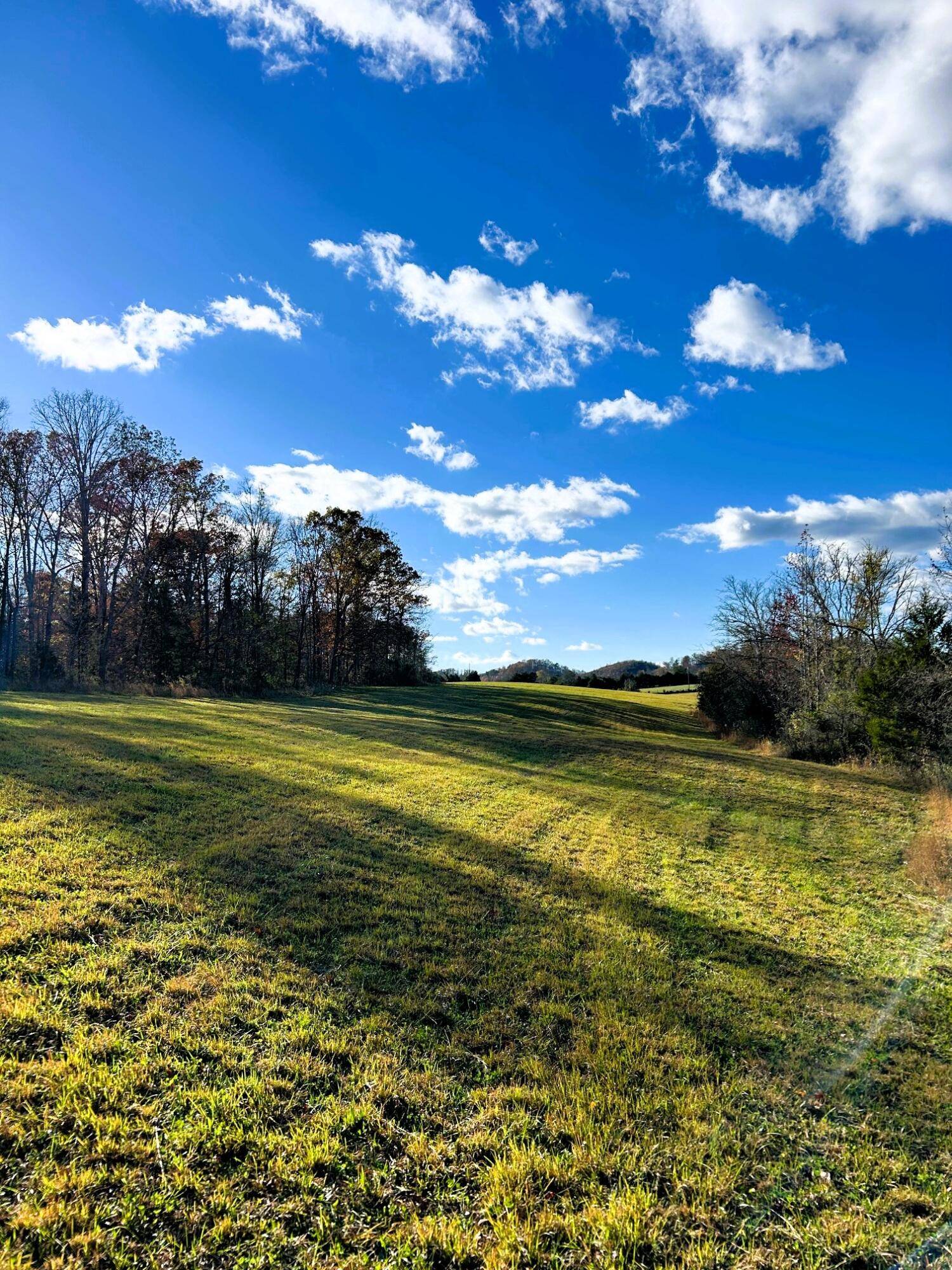 Tellico Plains, TN 37385,39 Ac Highway 68