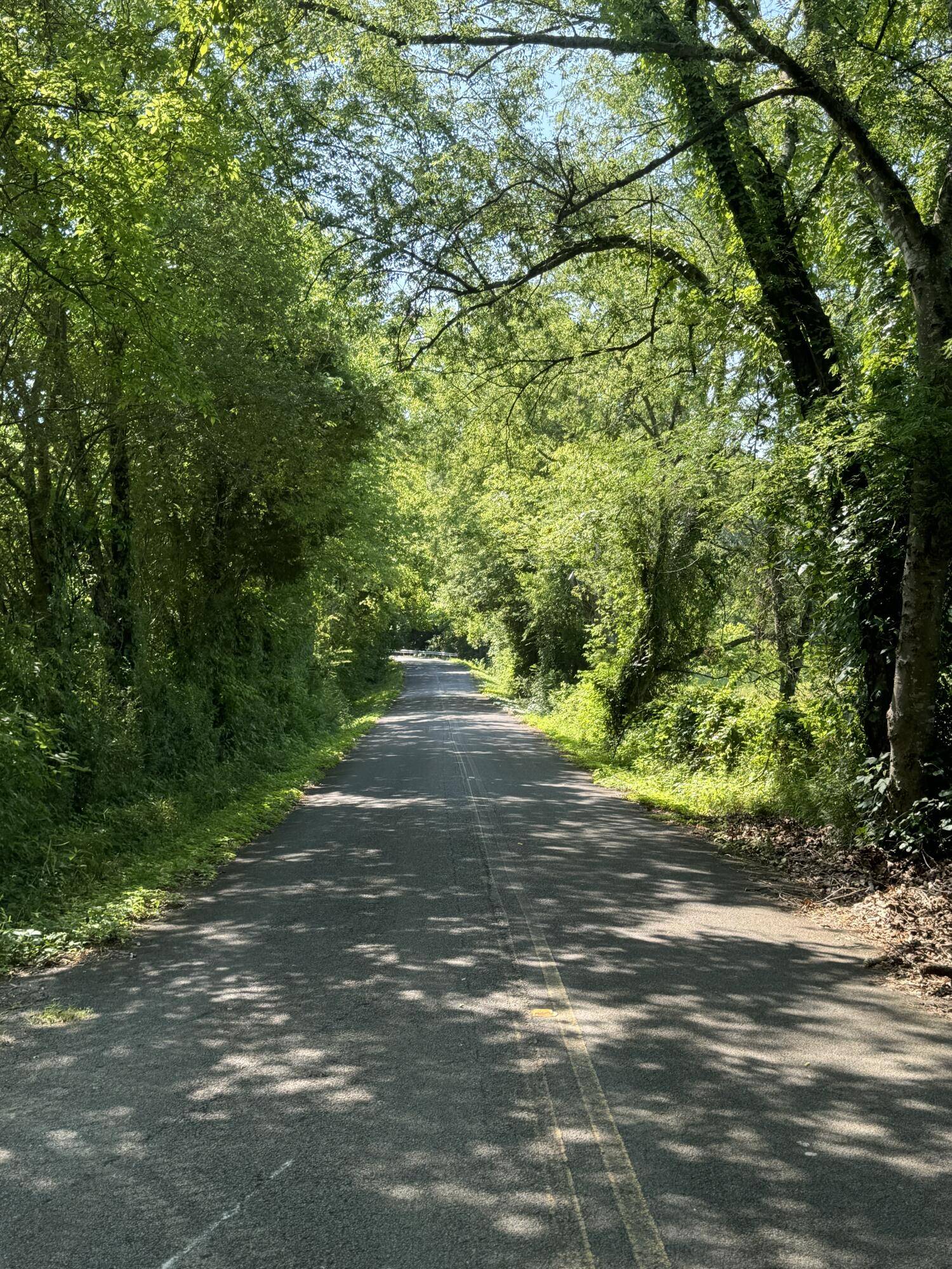 Cleveland, TN 37323,15 Ac Old Parksville Trail