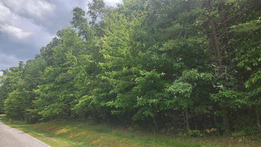 Spencer, TN 38585,Lot 59 Long Branch Est Off Bald Knob