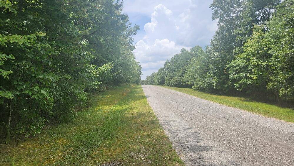 Spencer, TN 38585,Lot 59 Long Branch Est Off Bald Knob