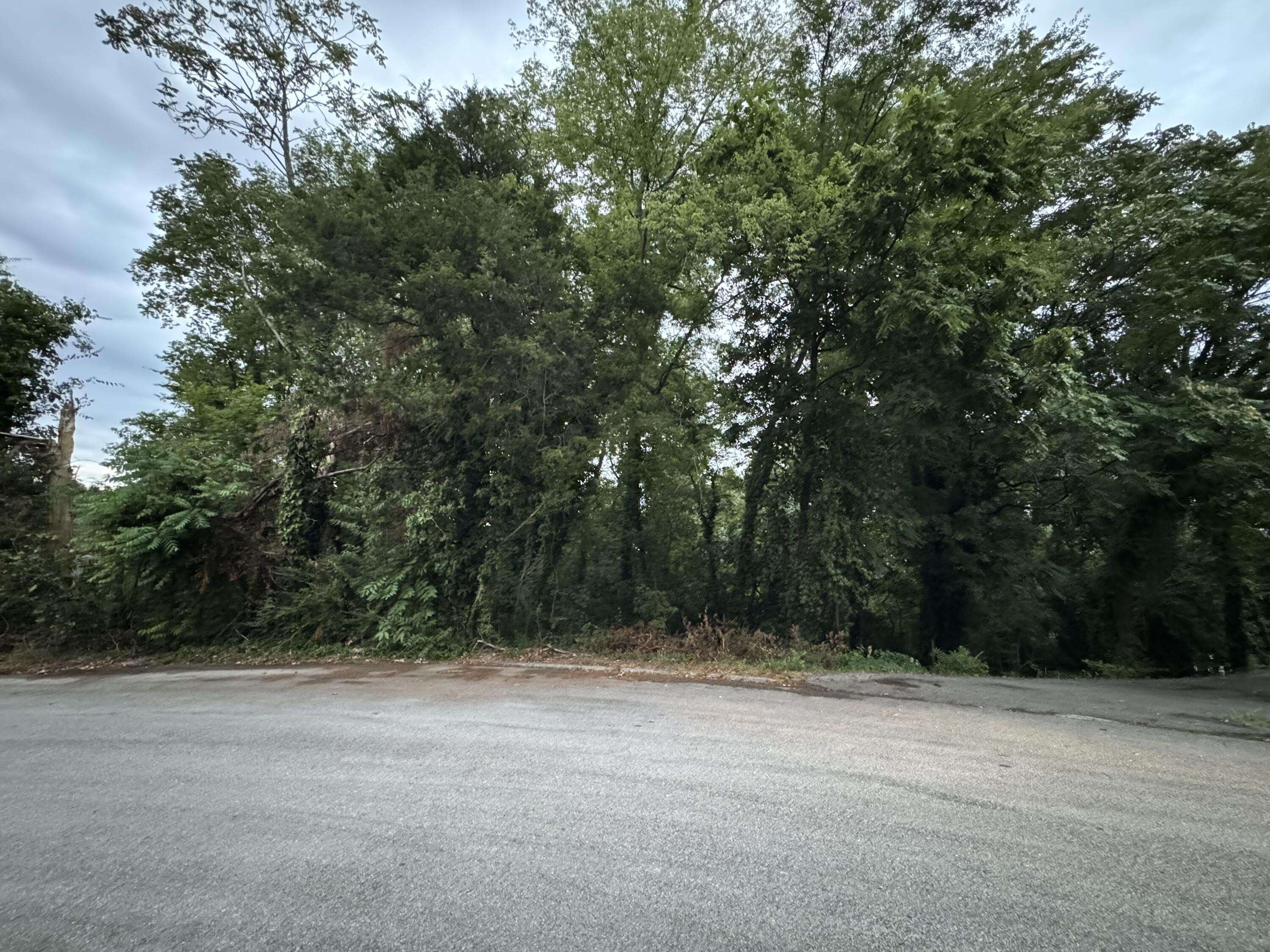 Chattanooga, TN 37416,0 Lake Crest CIR