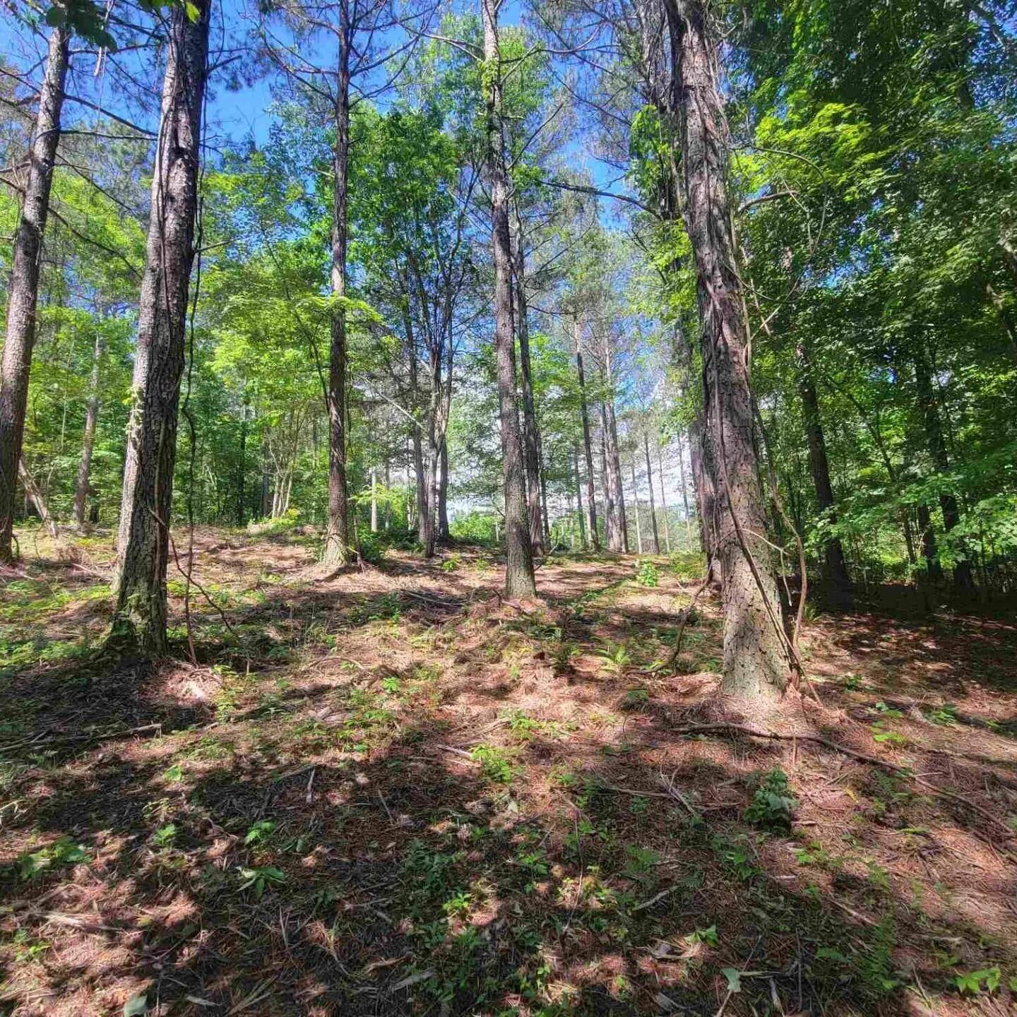 Guild, TN 37340,0 Split Rail WAY