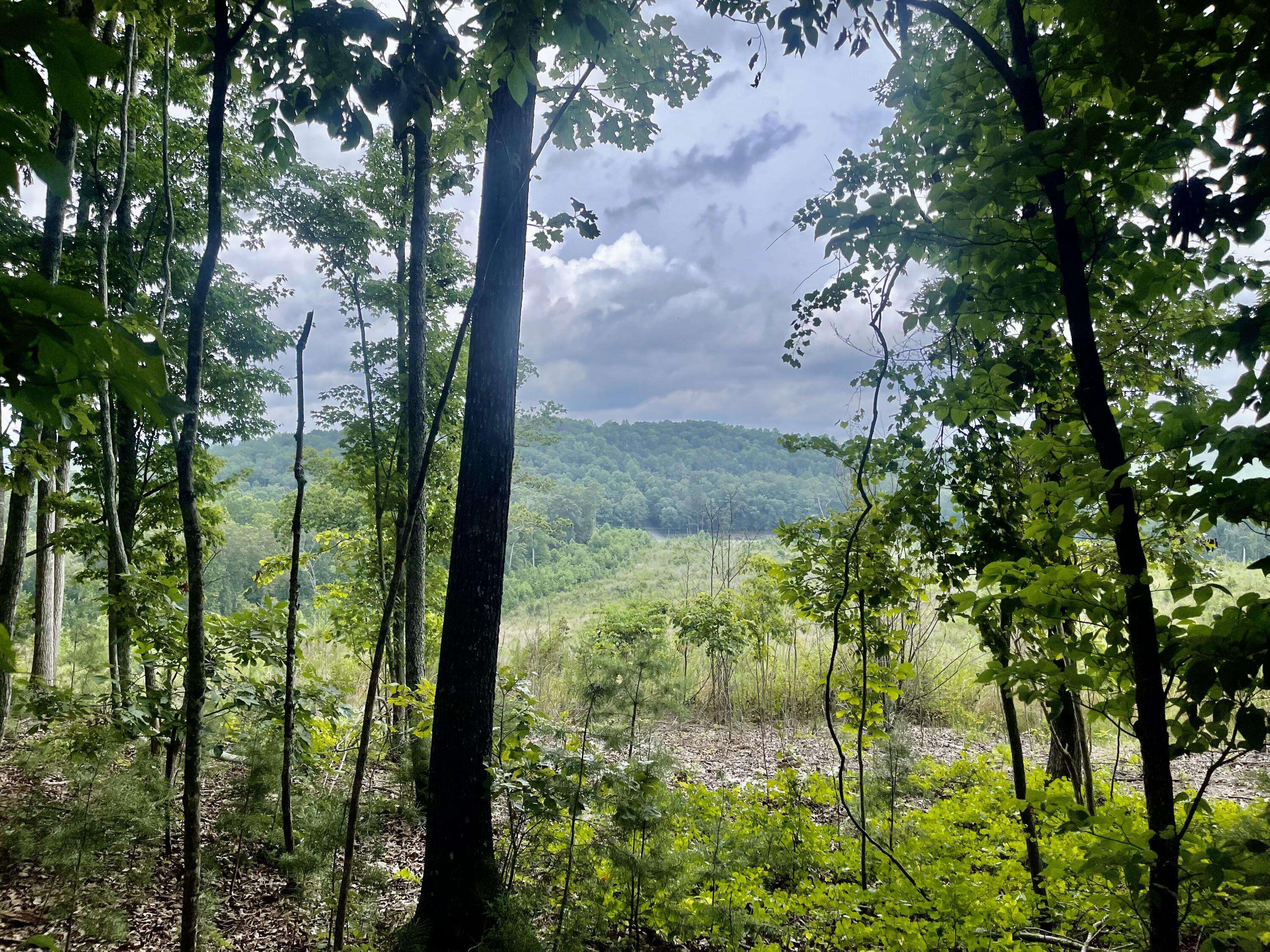 Summerville, GA 30747,0 White Oak Rd Lot 4