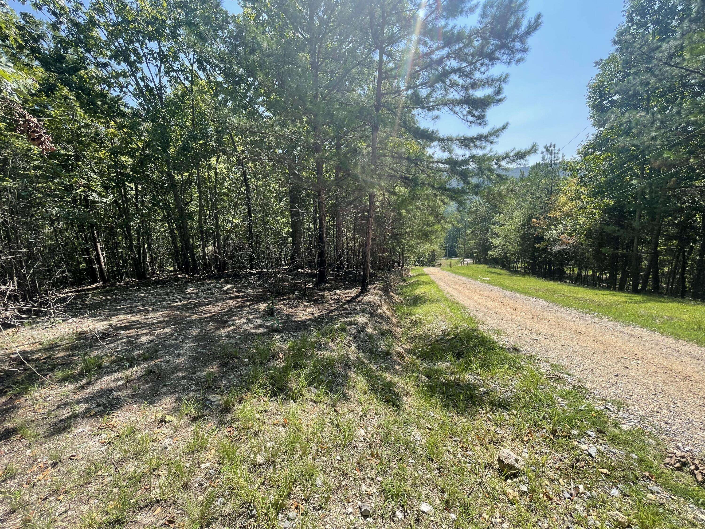 Summerville, GA 30747,0 White Oak Rd Lot 5