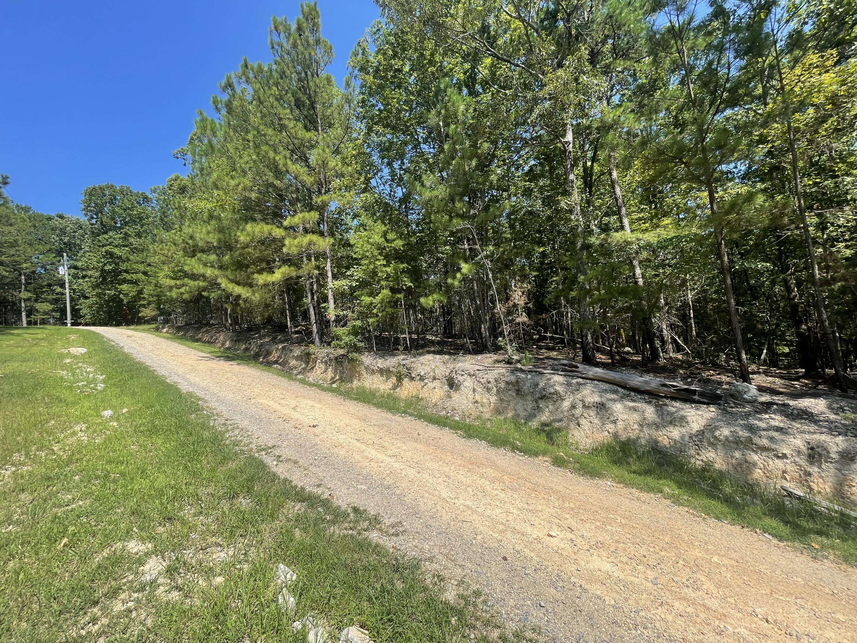 Summerville, GA 30747,0 White Oak Rd Lot 5