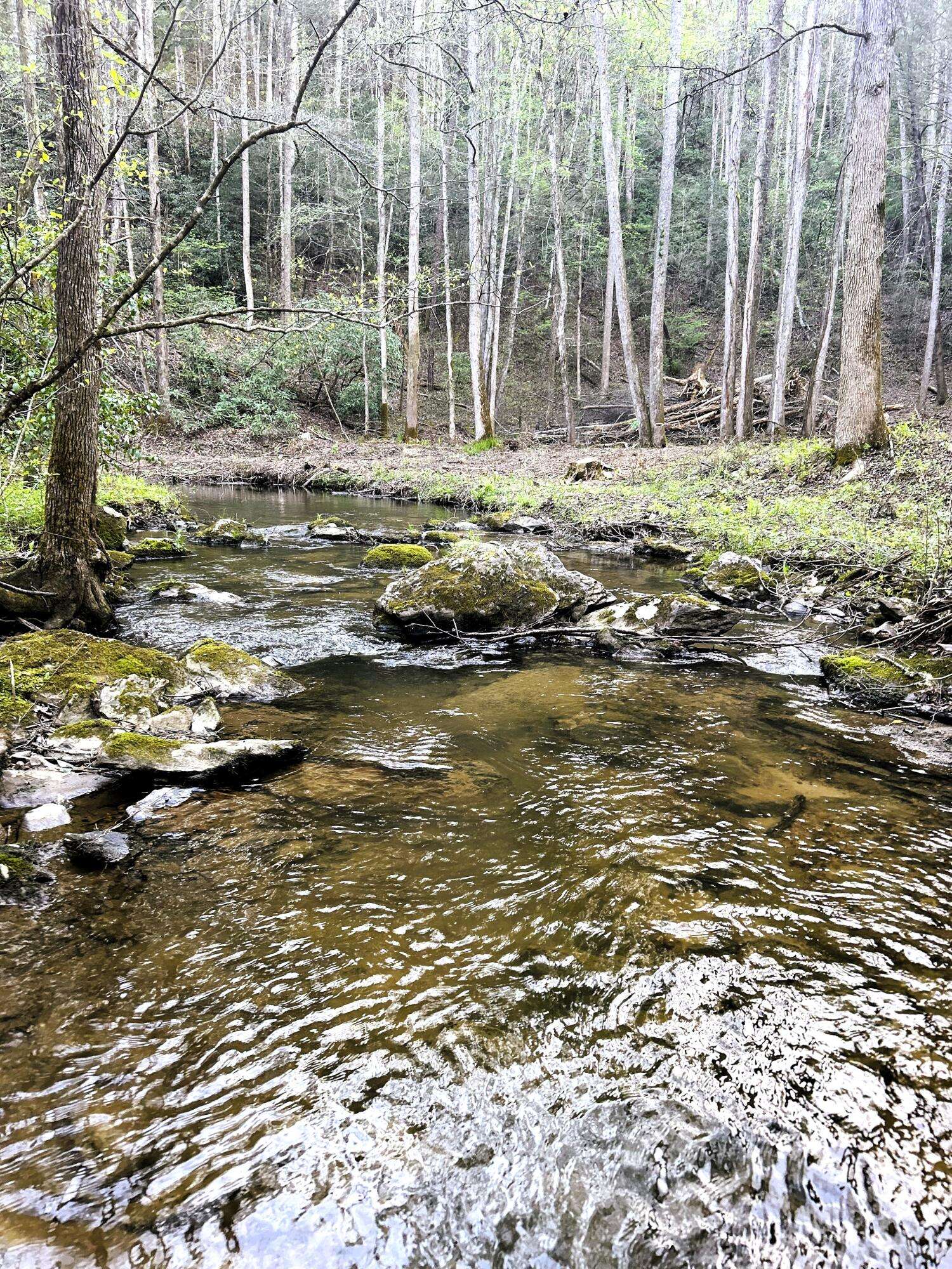 Tellico Plains, TN 37385,40 Acres Ivy TRL