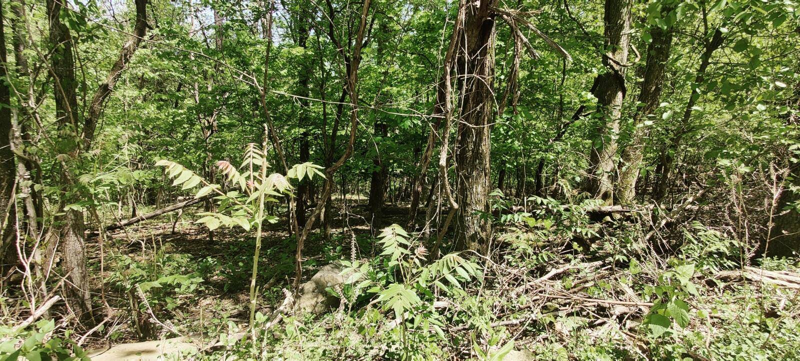 South Pittsburg, TN 37380,0 Coburntown (Lot 11) RD