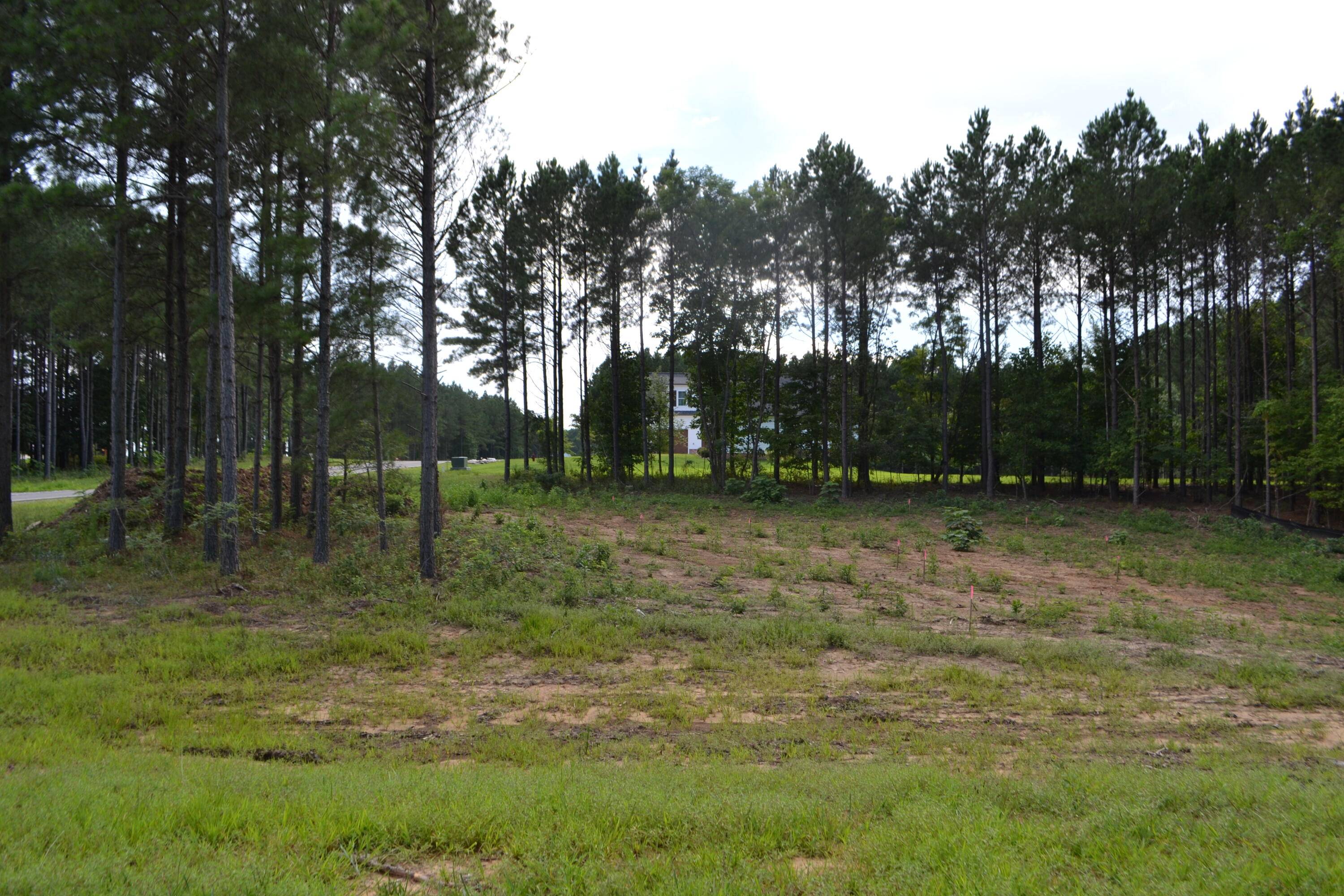 Jasper, TN 37347,125 Wilderness DR