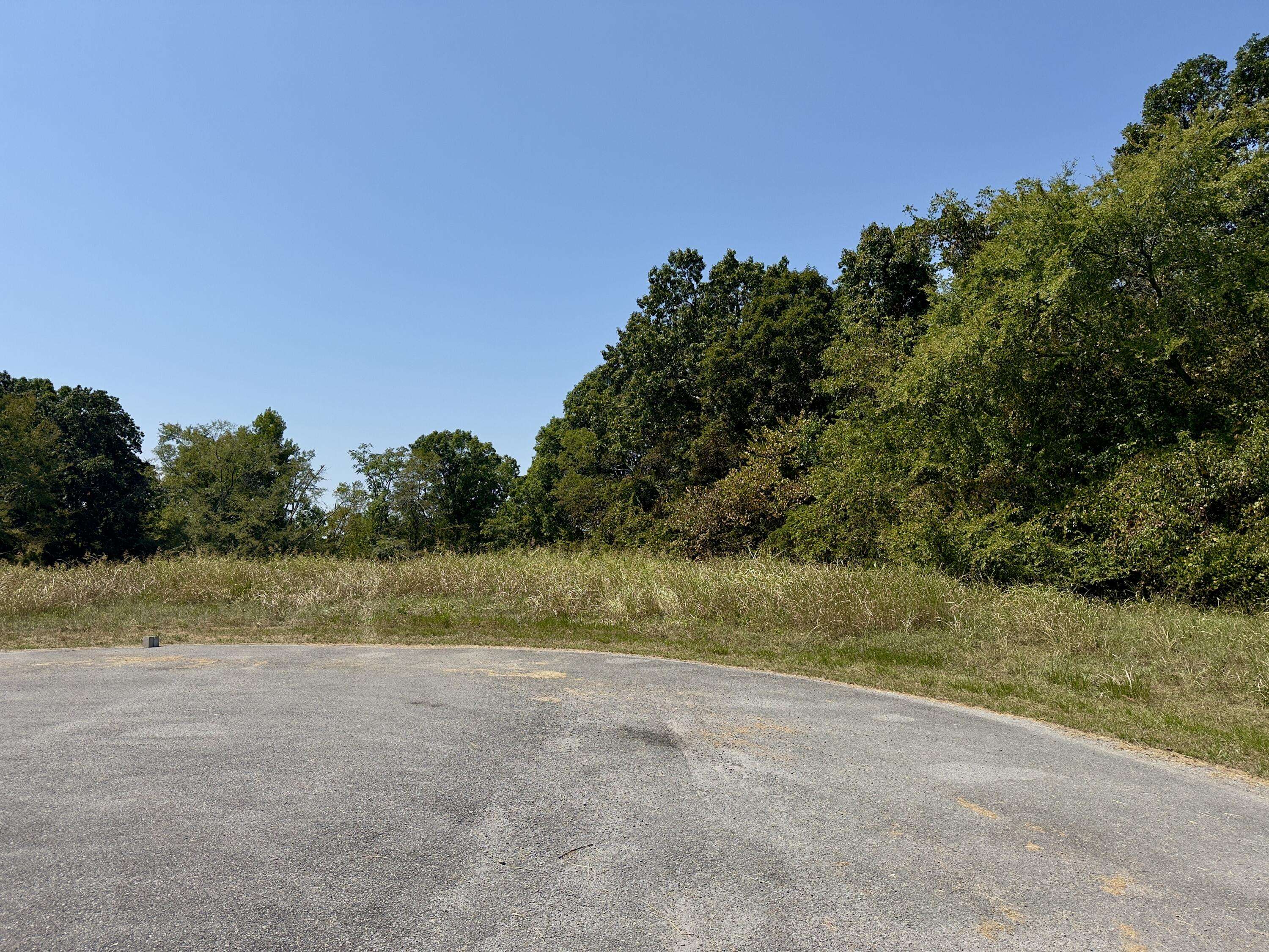 Decatur, TN 37322,00 The Gates DR