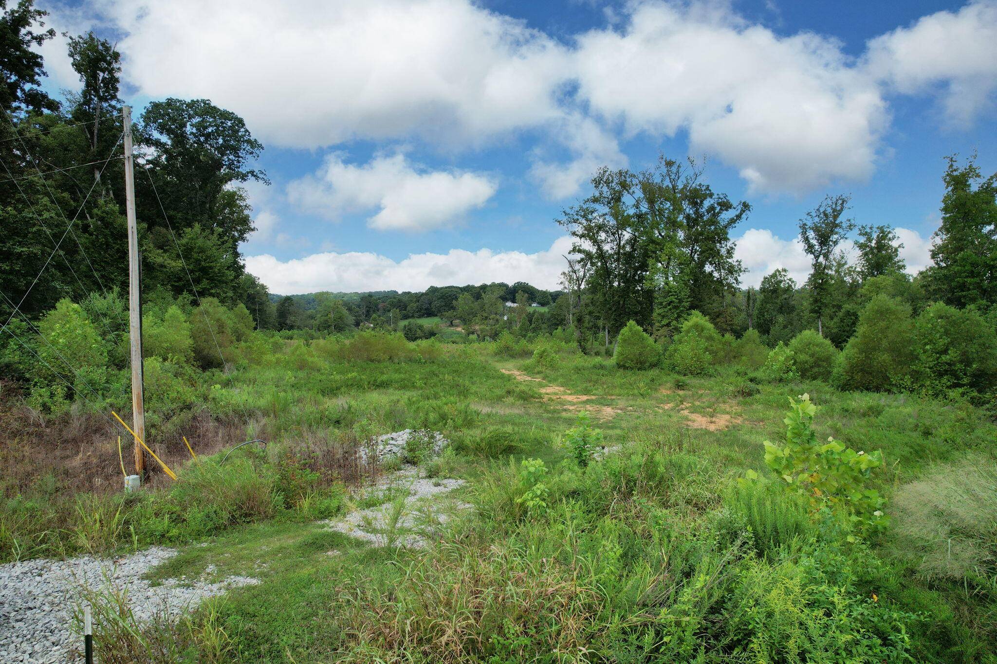 Athens, TN 37303,0 Denso DR