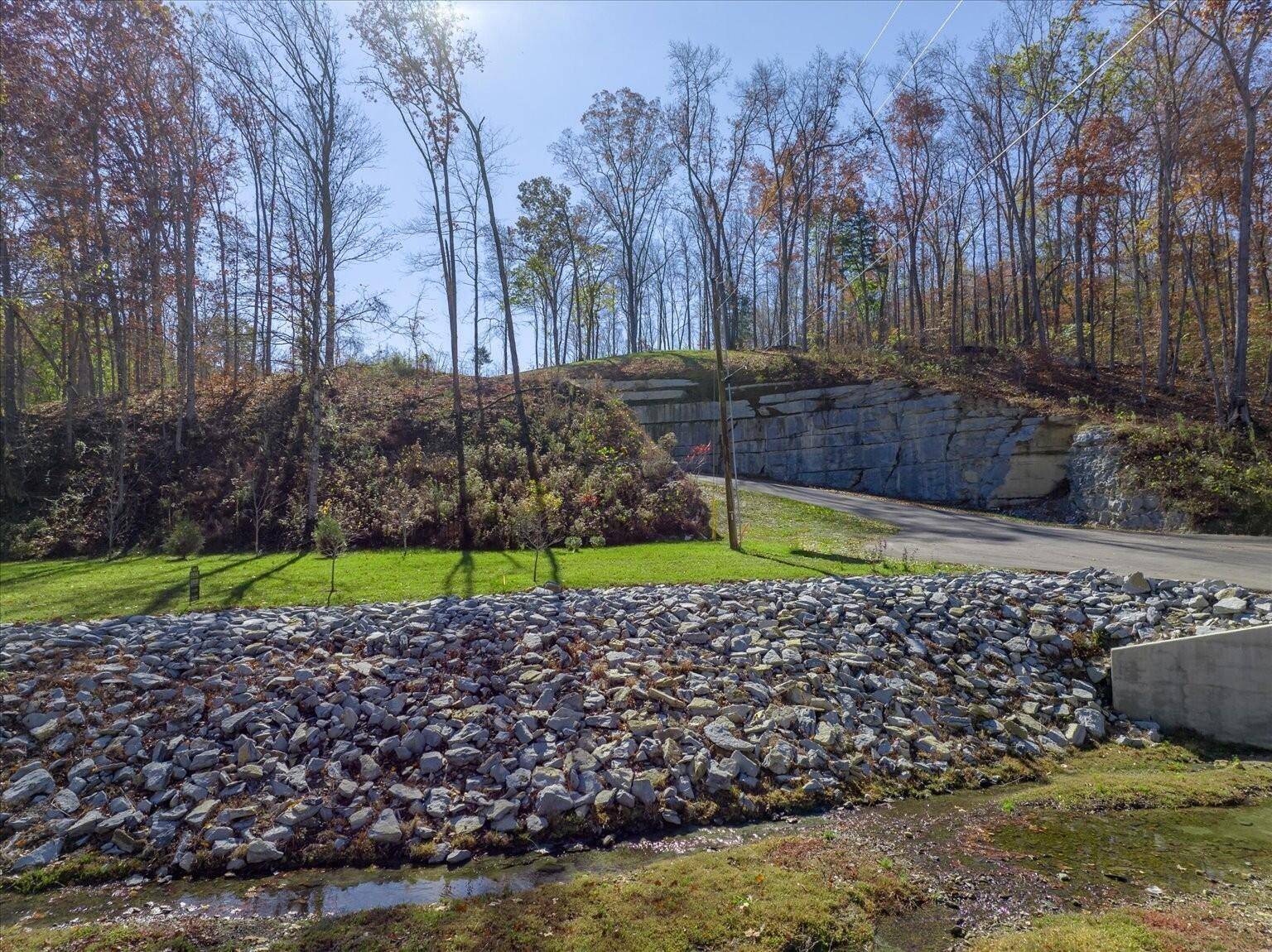 Franklin, TN 37064,6016 Stone Cliff Lane Lot Tr 3