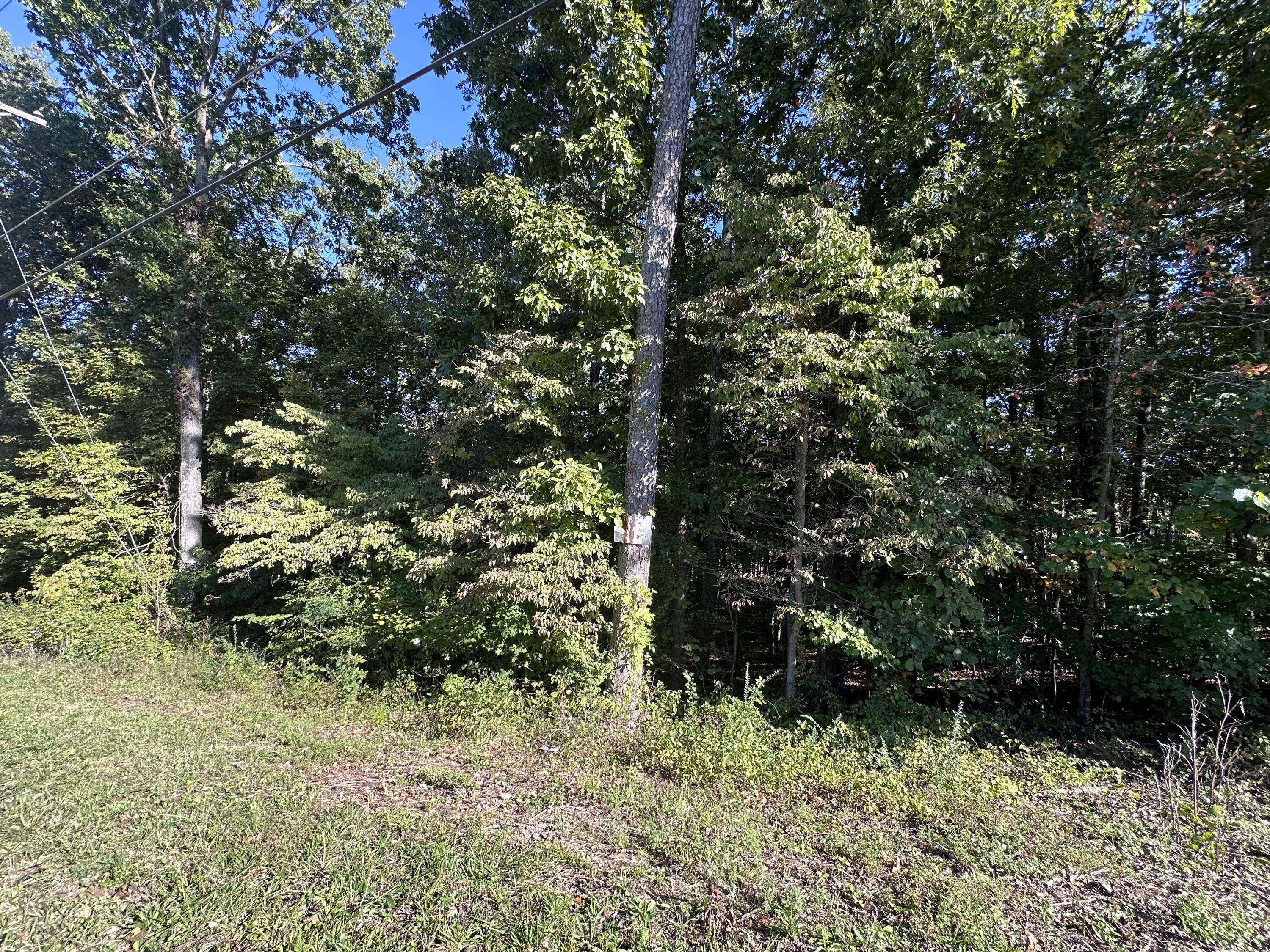 Rockwood, TN 37854,0 Hathburn DR