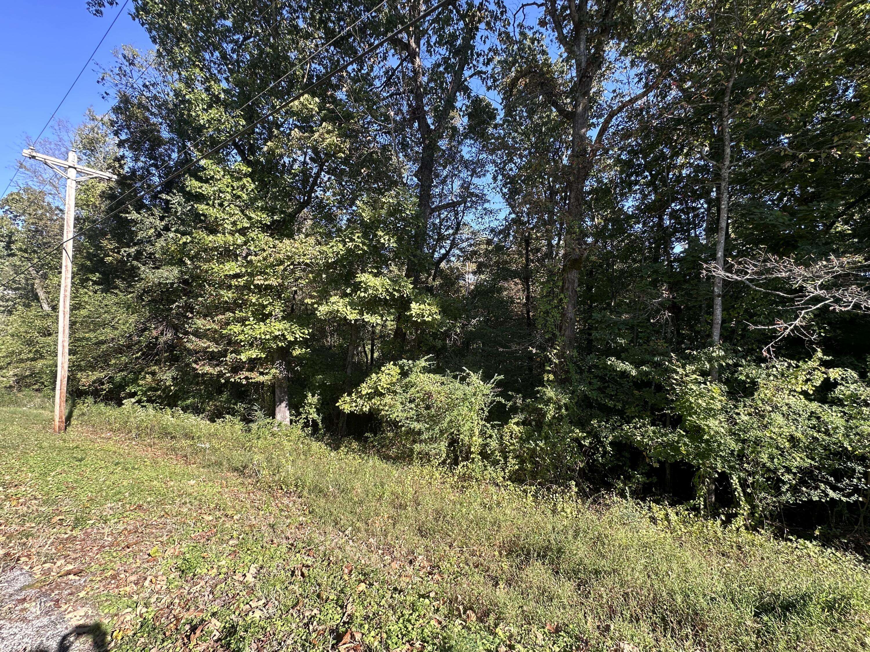 Rockwood, TN 37854,0 Hathburn DR