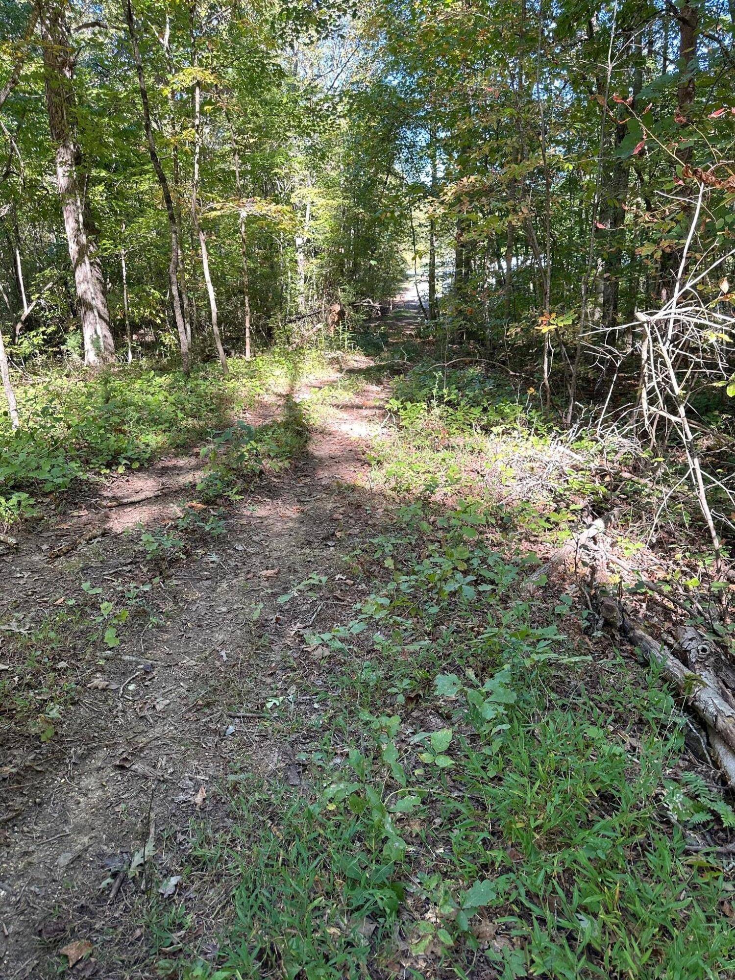 Spring City, TN 37381,Lot 412 Smith RD