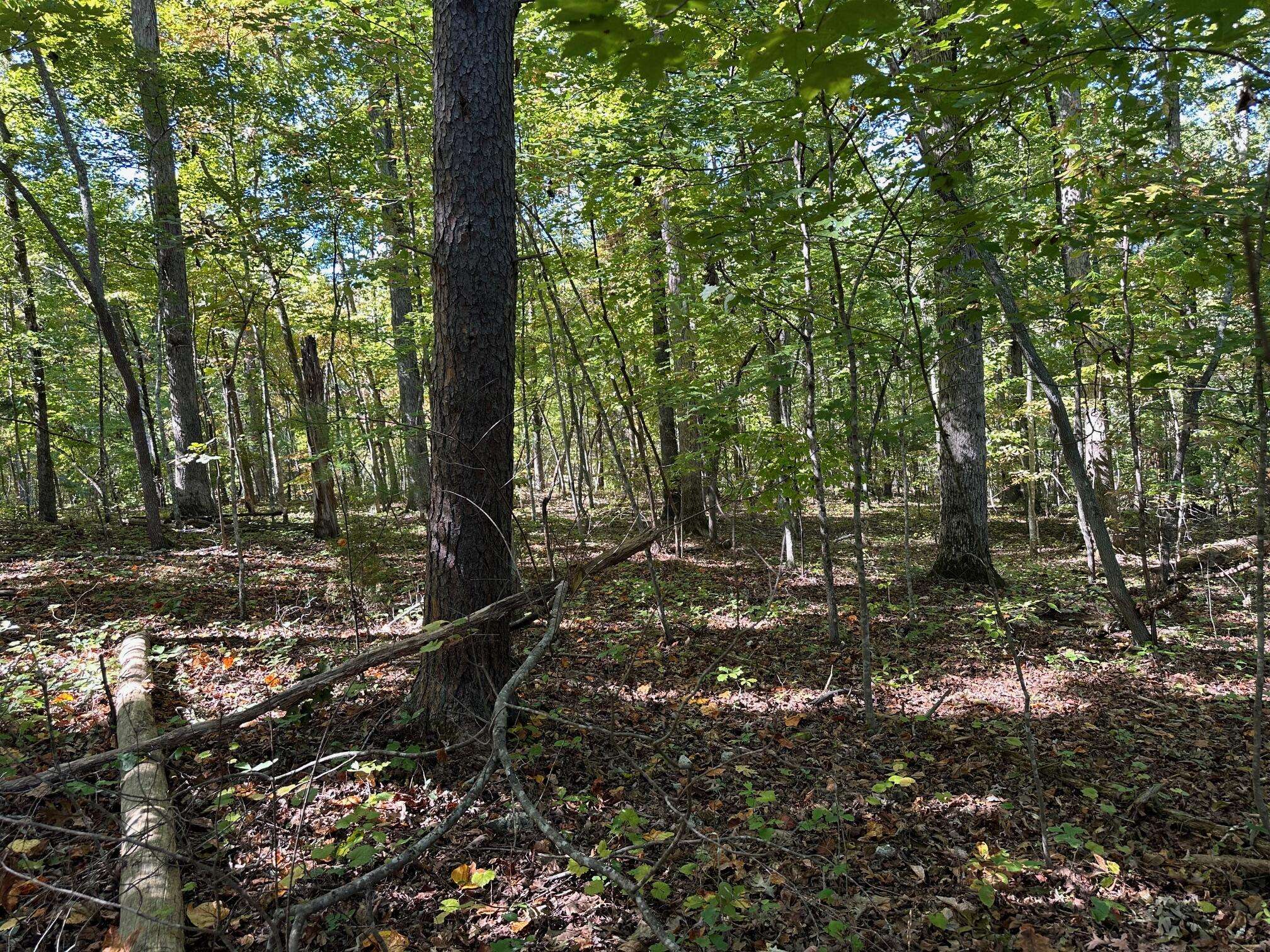 Spring City, TN 37381,Lot411&412 Smith RD