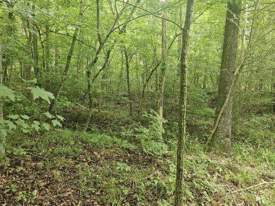 Cleveland, TN 37323,000 Johnson Road Se