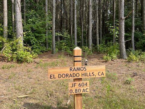 Jasper, TN 37347,1771 Crockett PT