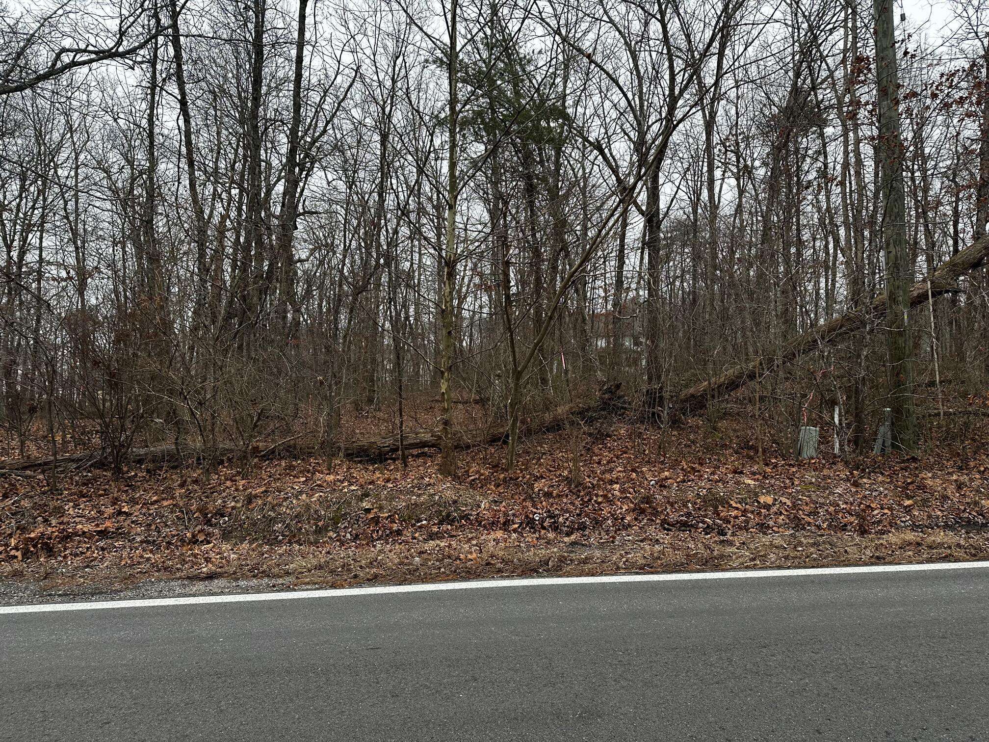 Signal Mountain, TN 37377,2800 Corral RD