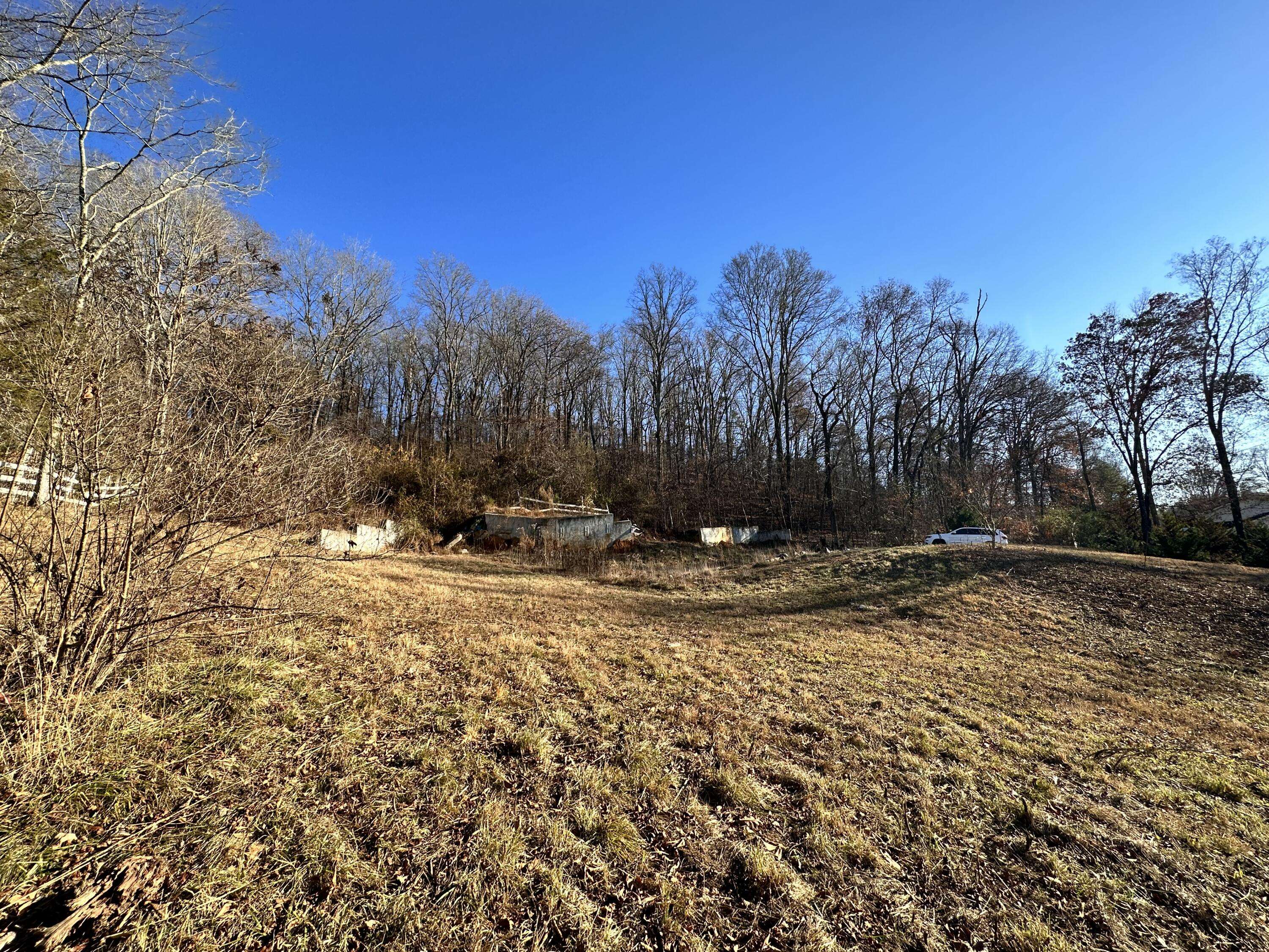 Harrison, TN 37341,6041 Shirley Pond RD