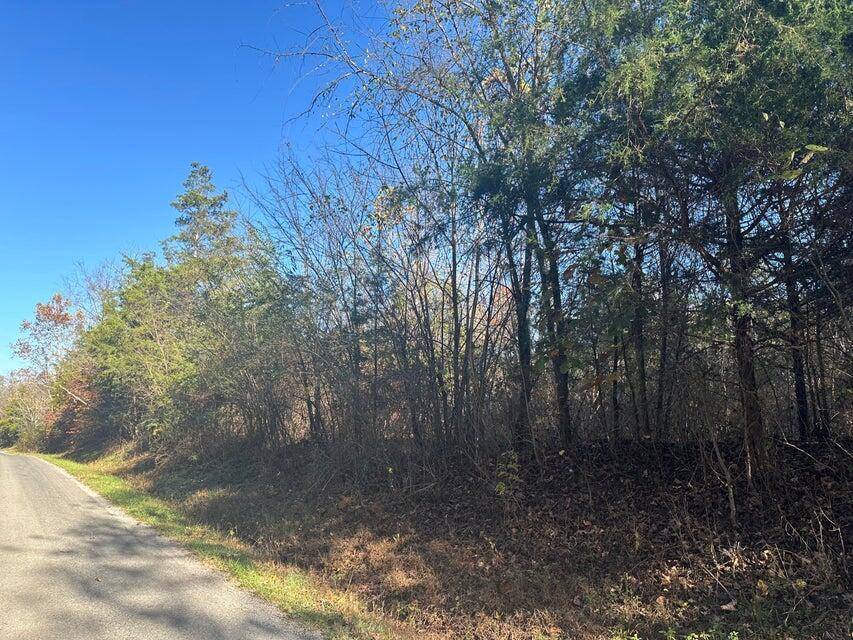 Decatur, TN 37322,Lot 1 Mt Carmel RD