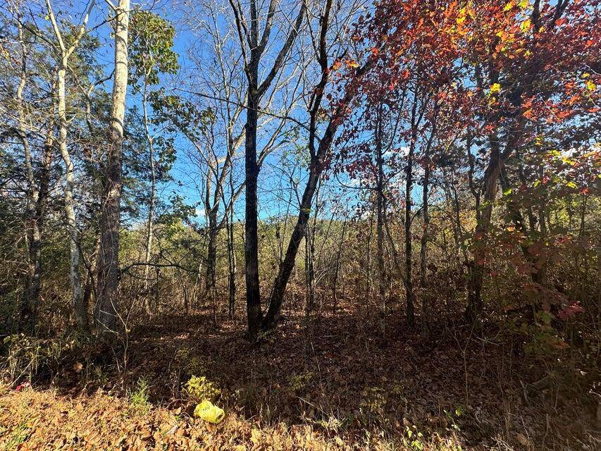 Decatur, TN 37322,Lot 1 Mt Carmel RD