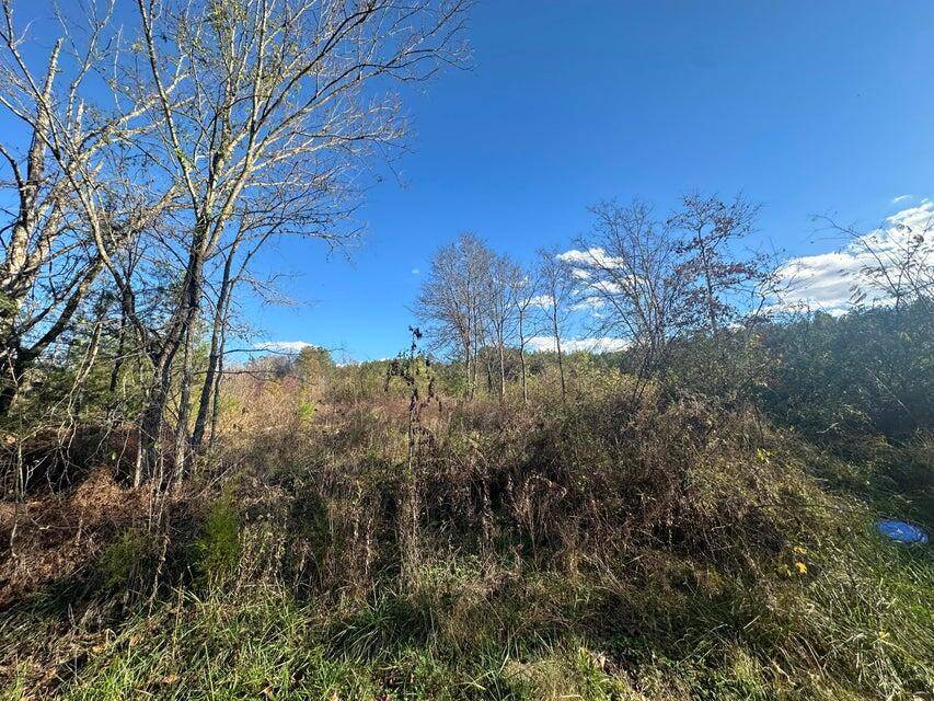 Decatur, TN 37322,Lot 1 Mt Carmel RD