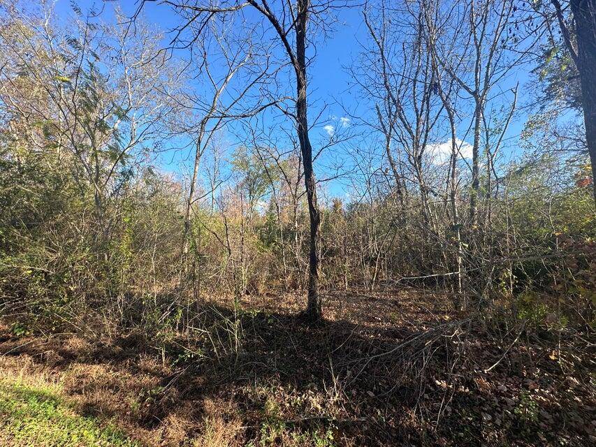 Decatur, TN 37322,Lot 1 Mt Carmel RD