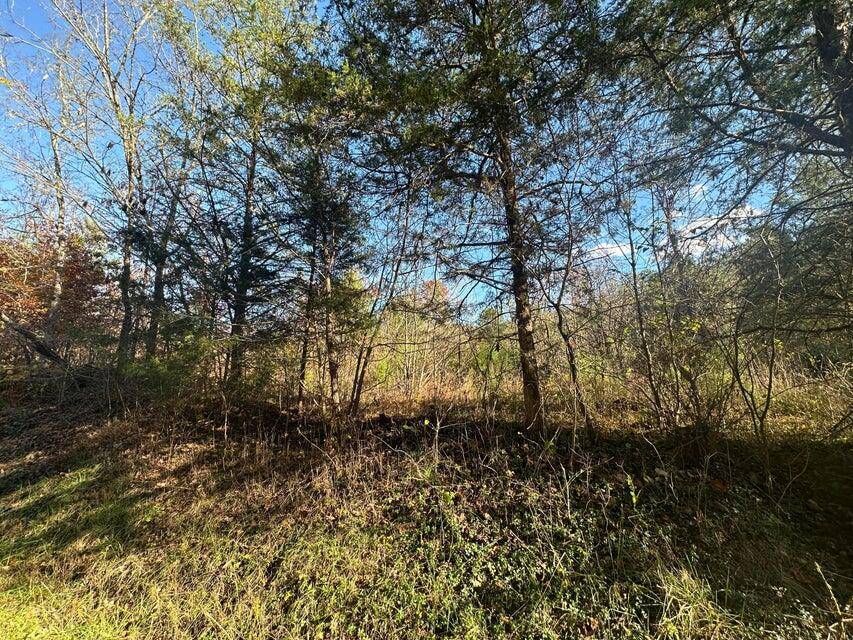 Decatur, TN 37322,Lot 2 Mt Carmel RD