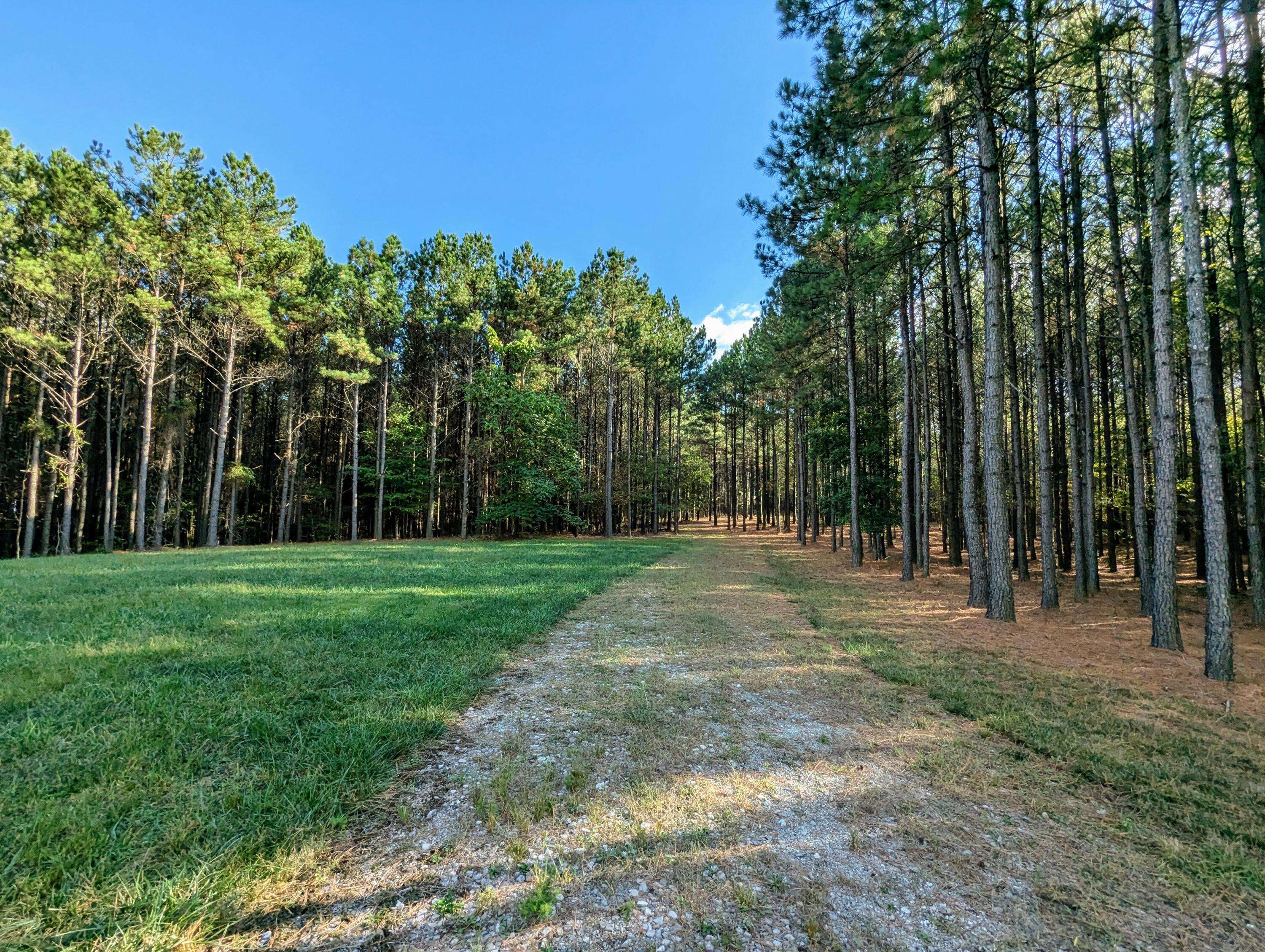 Jasper, TN 37347,194 River Bluffs DR