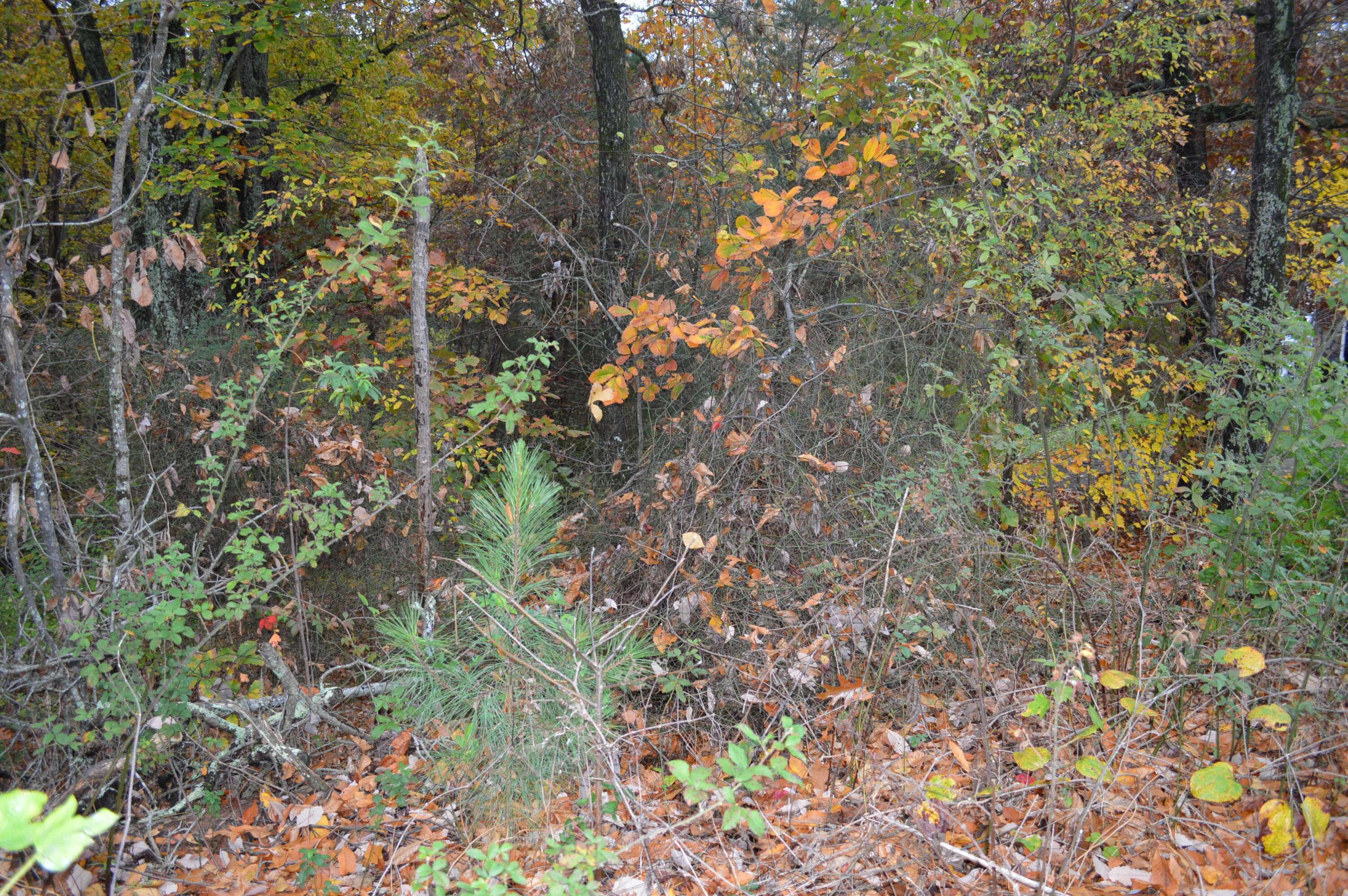 Cleveland, TN 37312,Lot  3 Hickory Hills DR