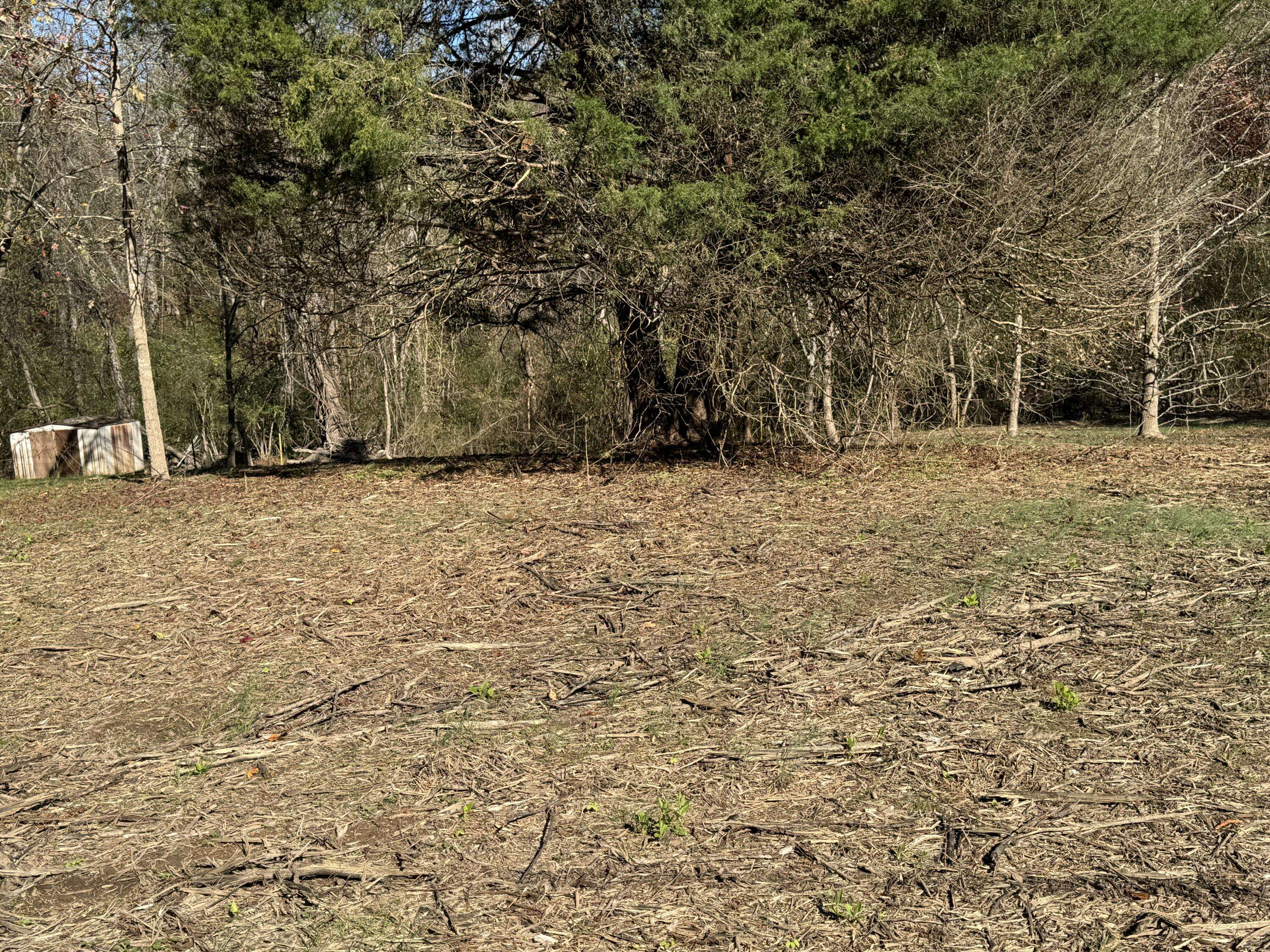 Birchwood, TN 37308,0 Sugar Tree TRL