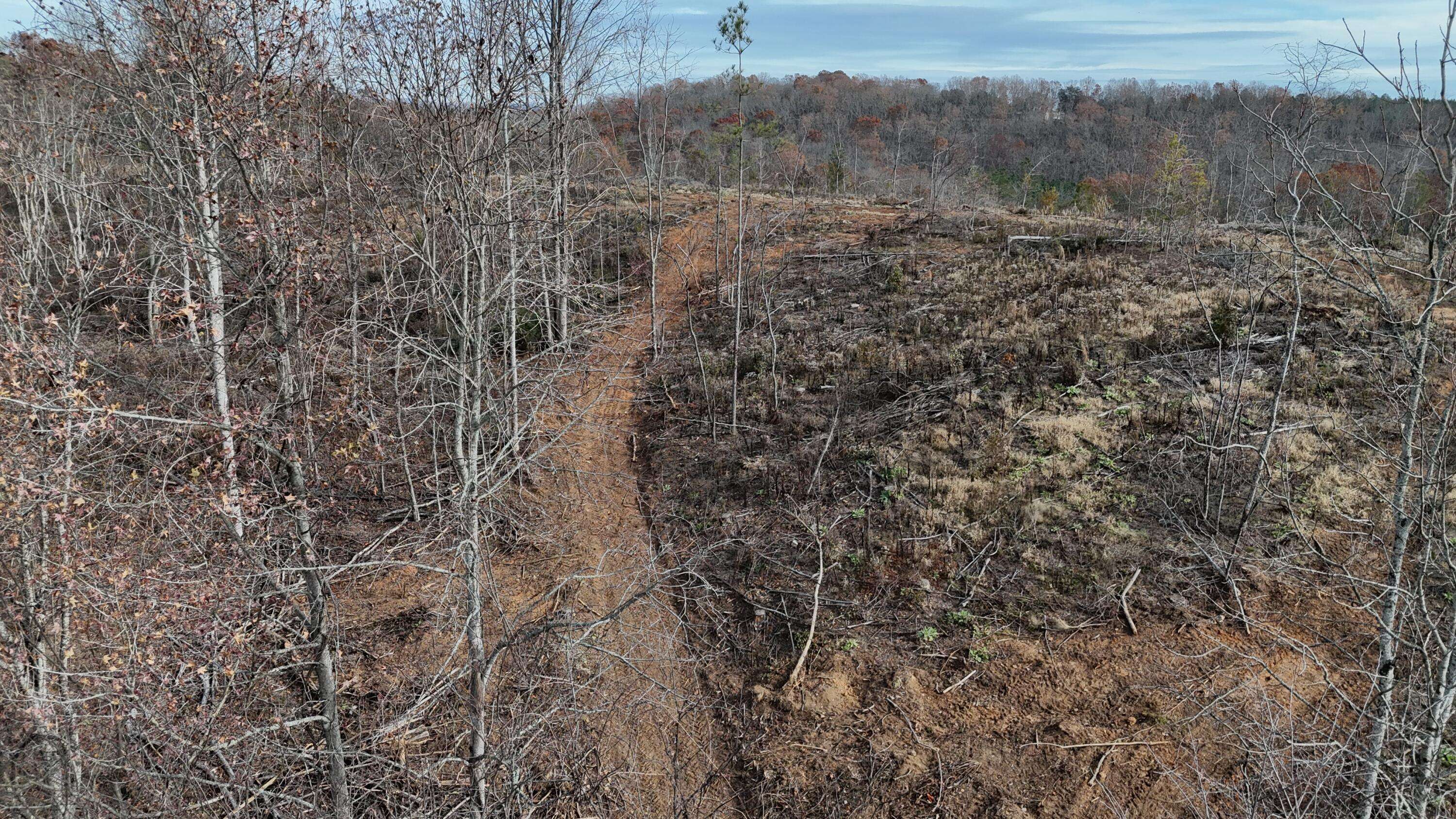 Decatur, TN 37322,Lot 3 Lamontville RD