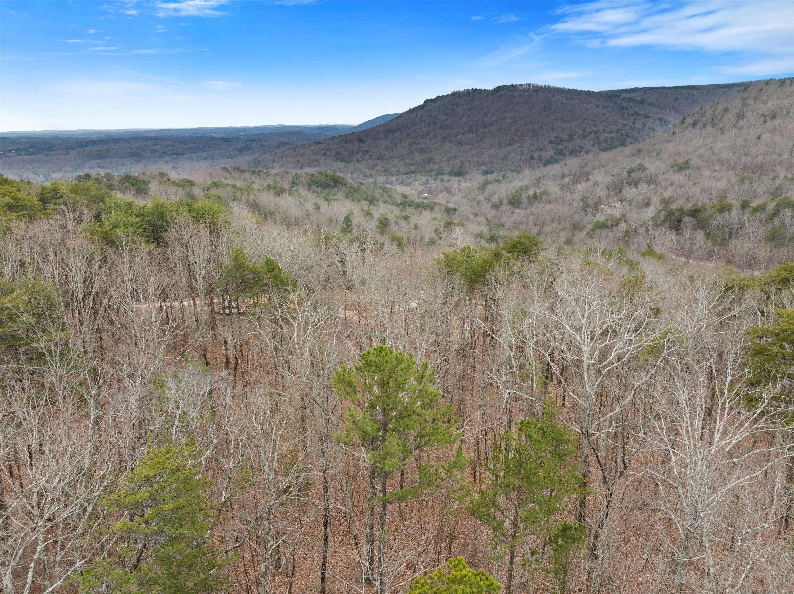 Sale Creek, TN 37373,1042 Rocky Top LN