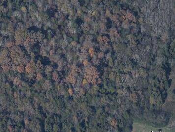 Mcdonald, TN 37353,6707 White Oak Valley Cir. CIR