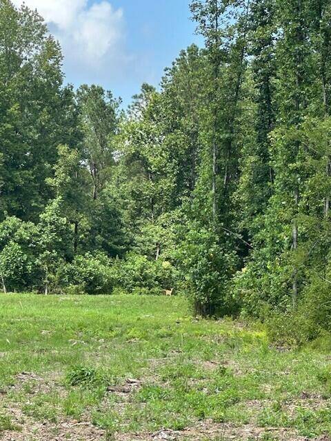 Tracy City, TN 37387,Tract 11 Dykes Hollow