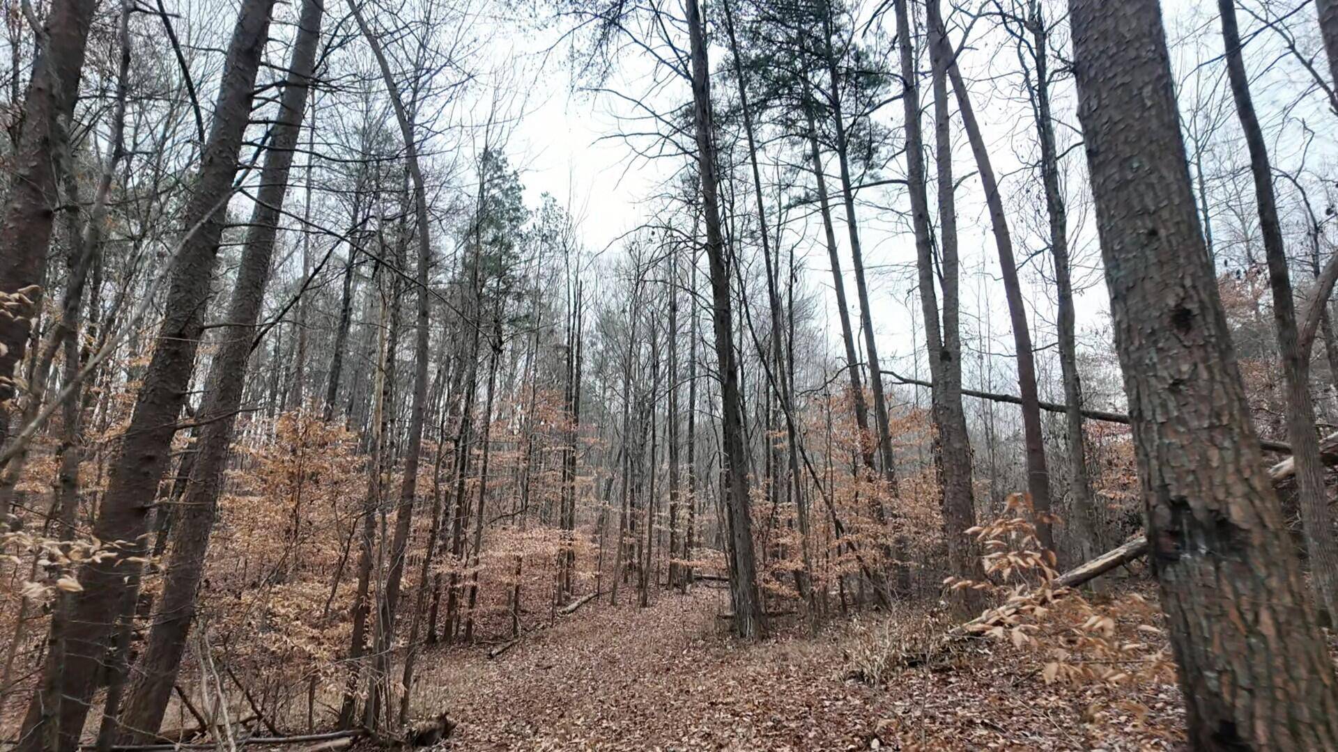 Hixson, TN 37343,7943 Harper RD