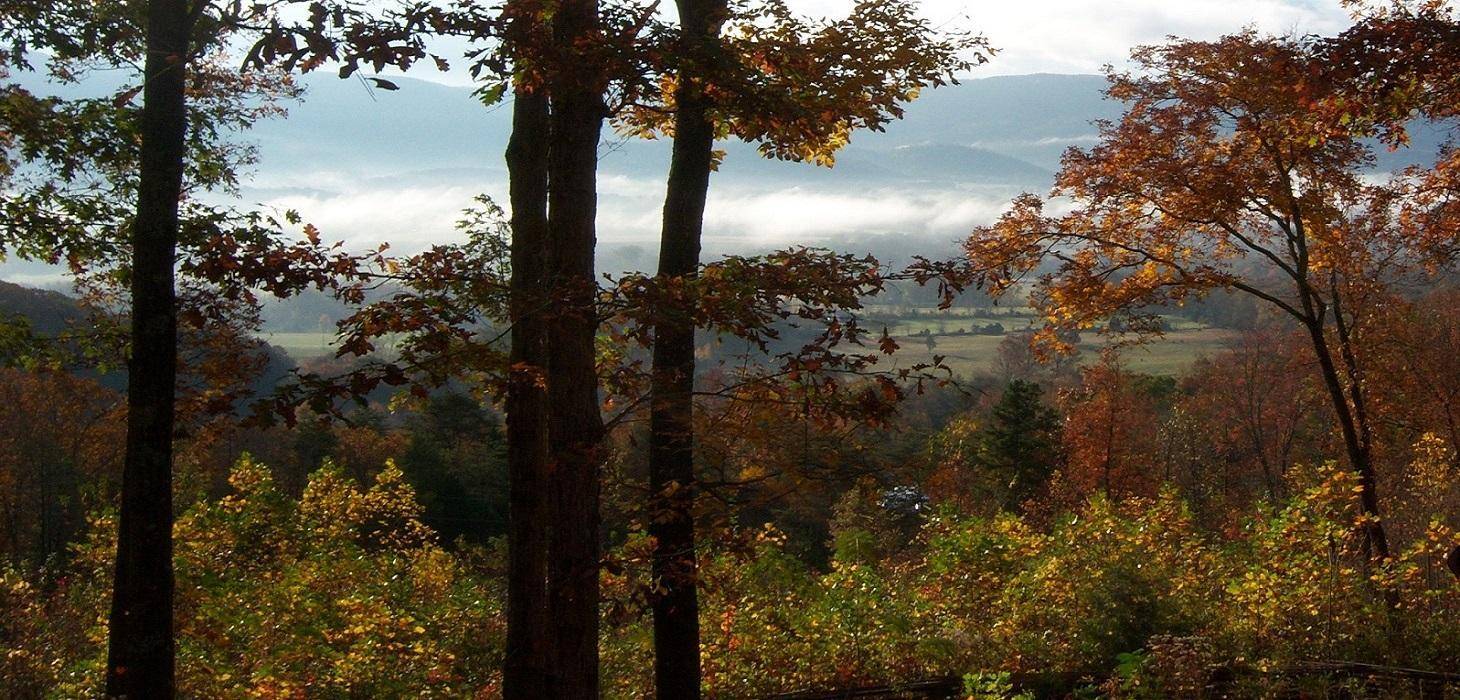 Pikeville, TN 37367,5106 Big Spring Gap RD