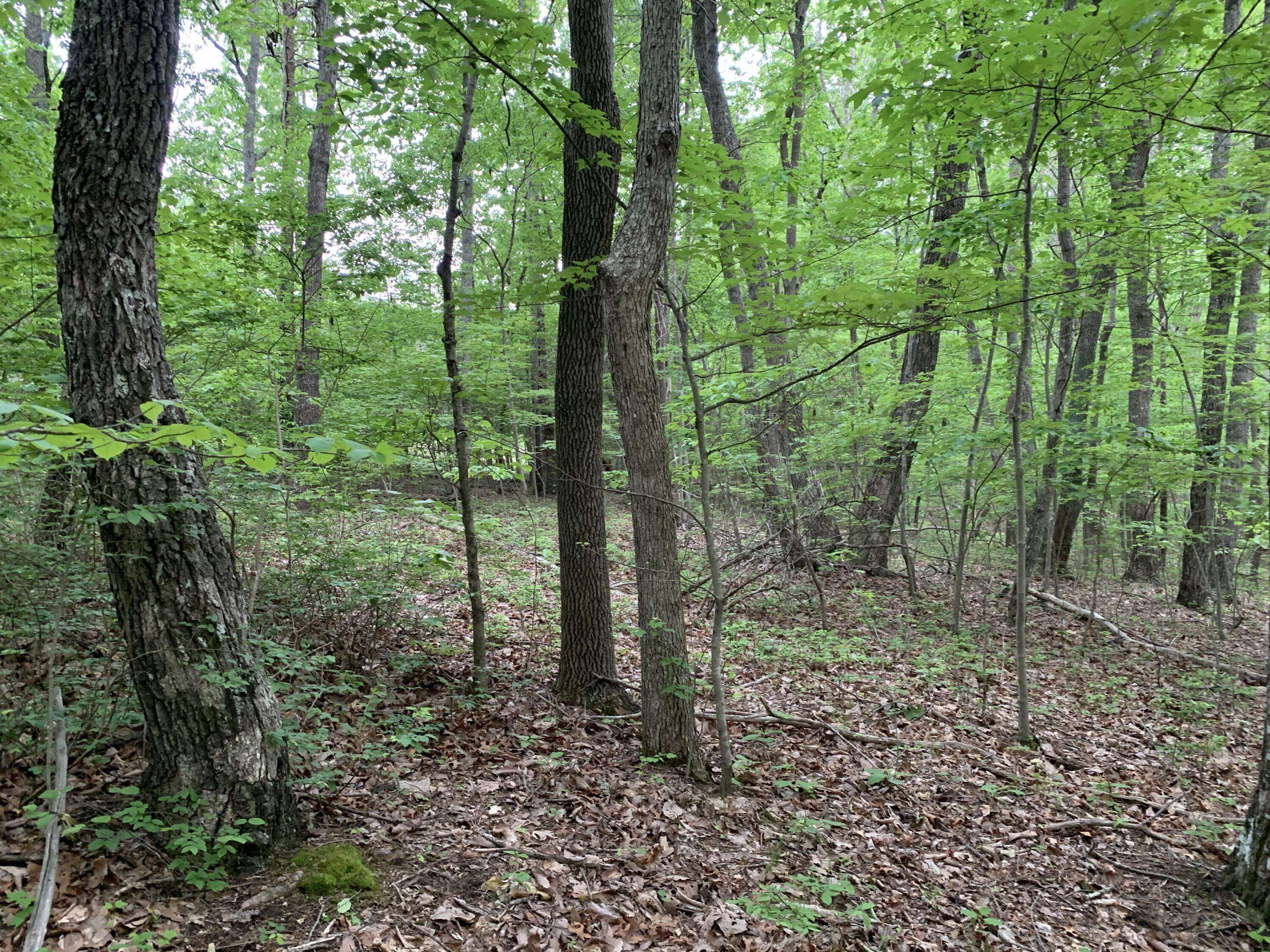 Rising Fawn, GA 30738,000 Stewart LN