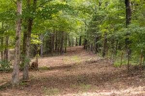 Birchwood, TN 37308,12814 Cranfield RD