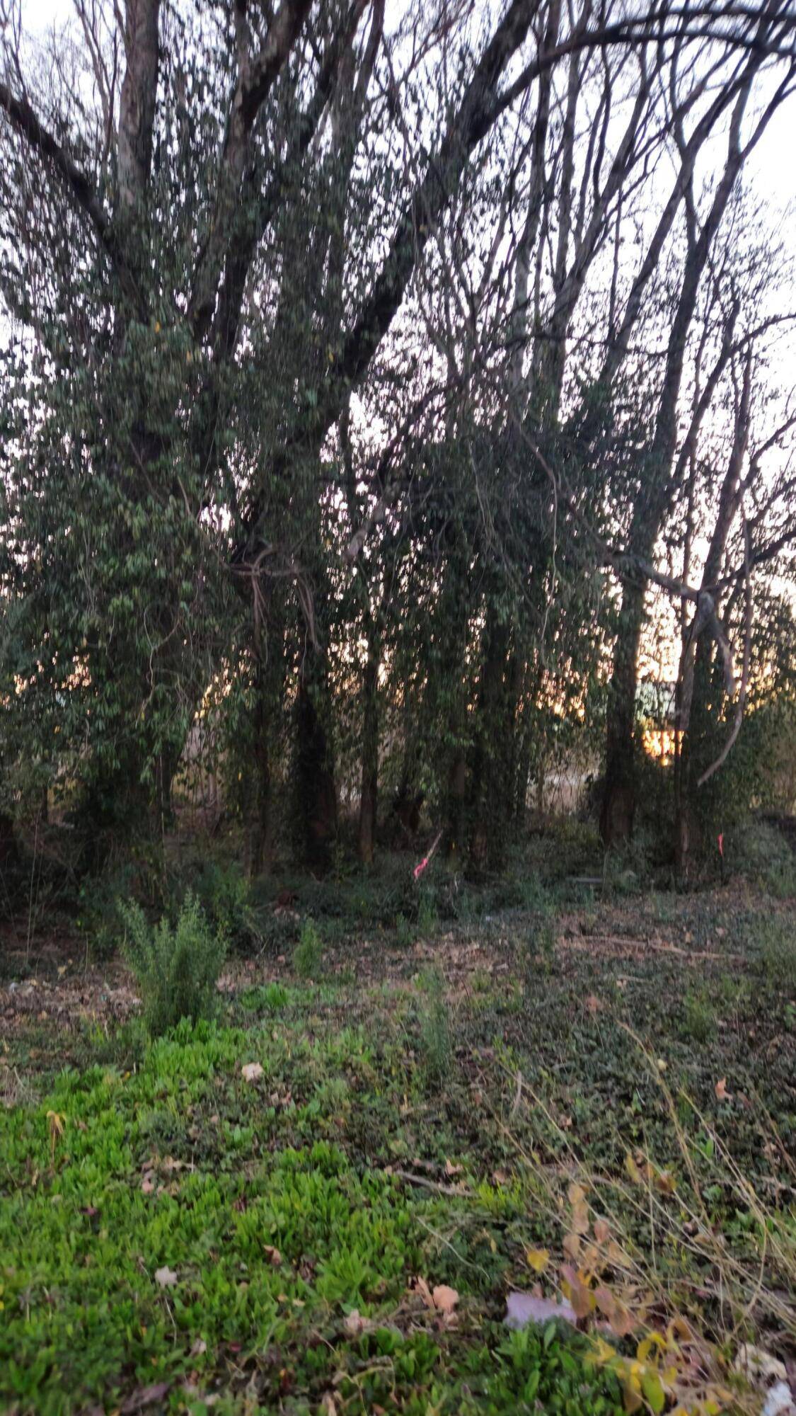 Ooltewah, TN 37363,8203 Old Lee HWY