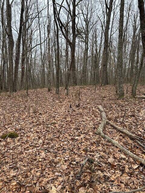 Signal Mountain, TN 37377,0 Clear Brooks DR