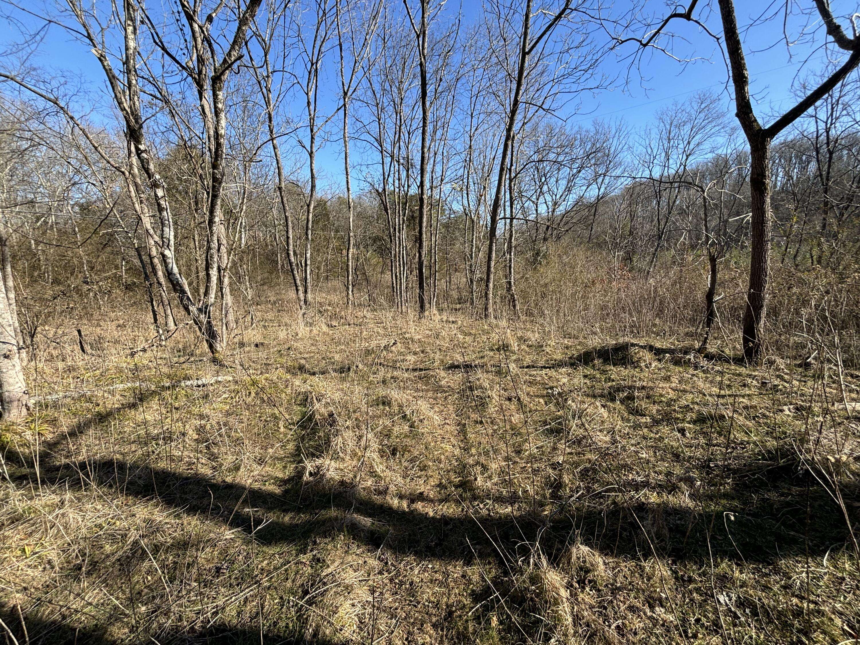 Spring City, TN 37381,0 Dividing Ridge RD