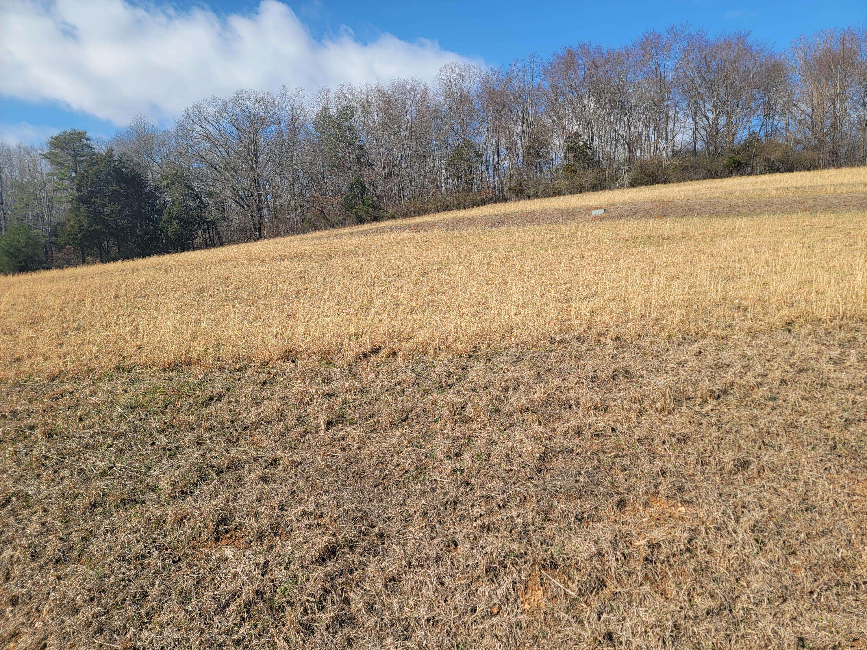 Decatur, TN 37322,Lot 38 Goodfield Terrance